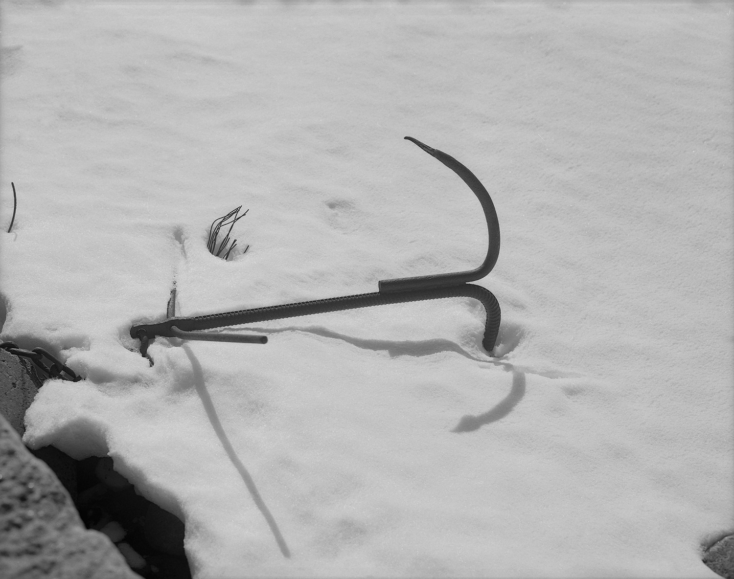 The voice of cold water. Vika Bykovskaya photography