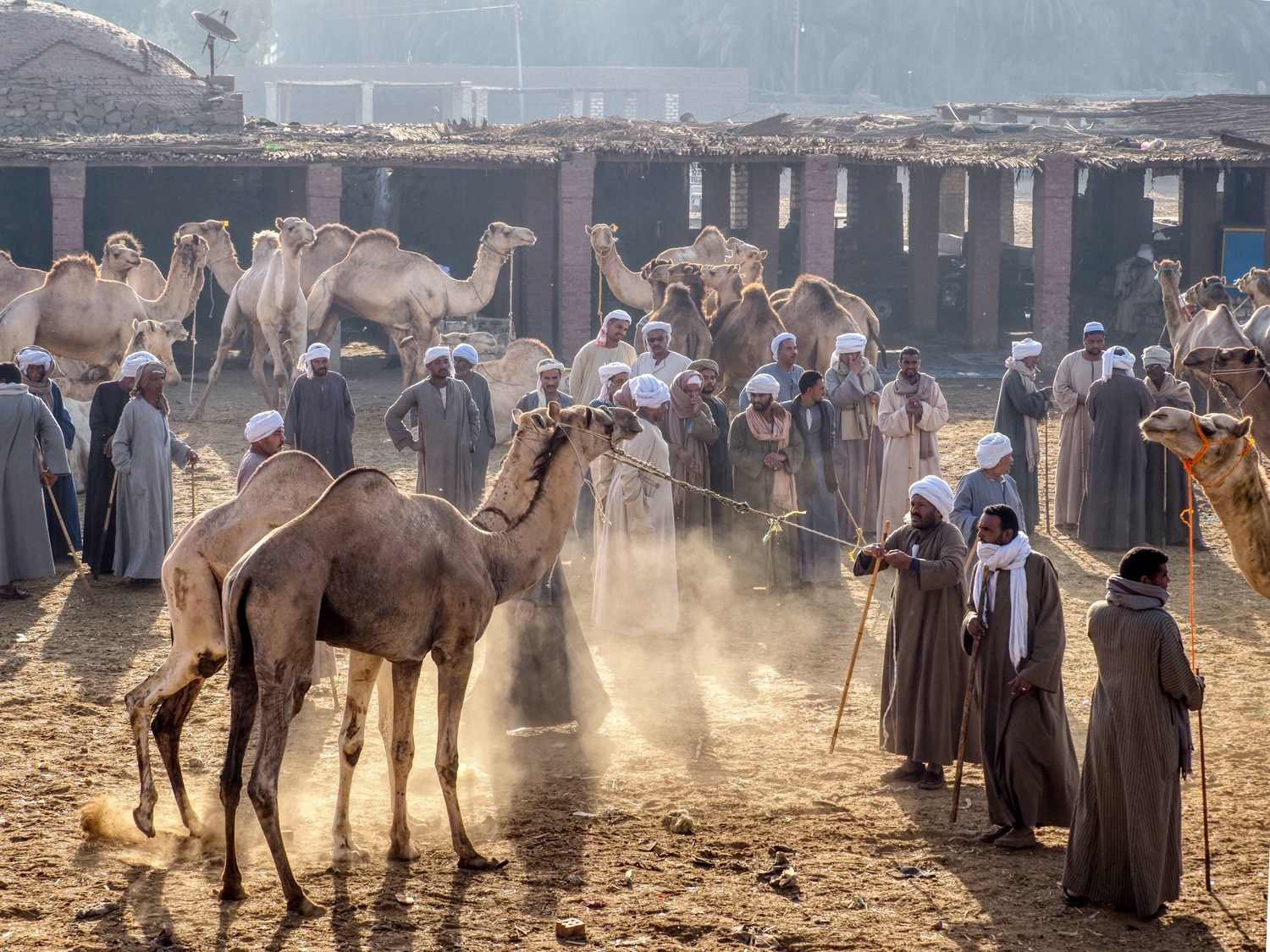 Индия с Александром Петросяном ноябрь 2026. Фотограф Александр Петросян