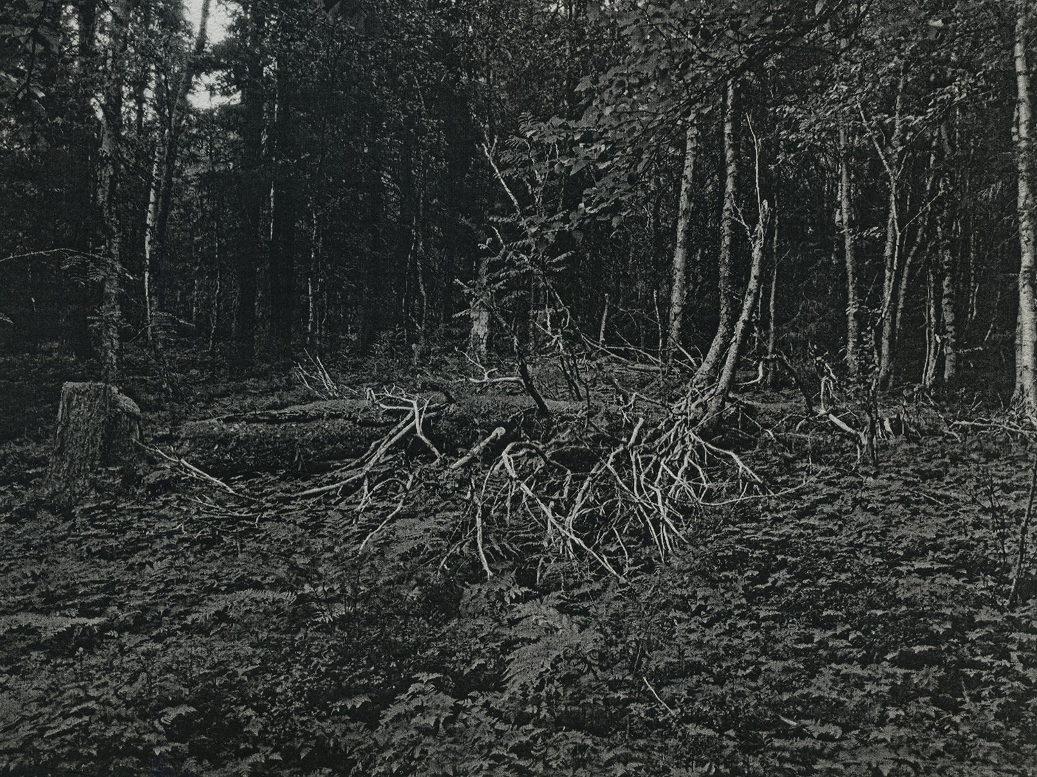 Arrive without leaving. Vika Bykovskaya photography