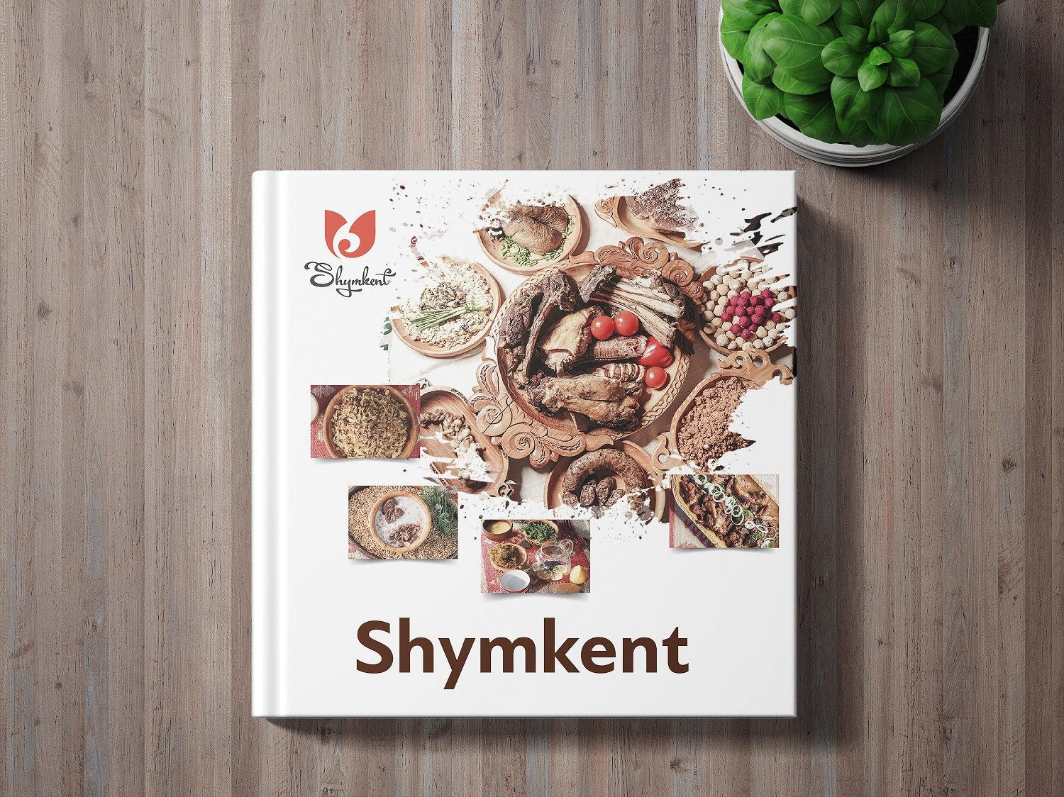 Графический дизайн. Профессиональный фотограф в Астане