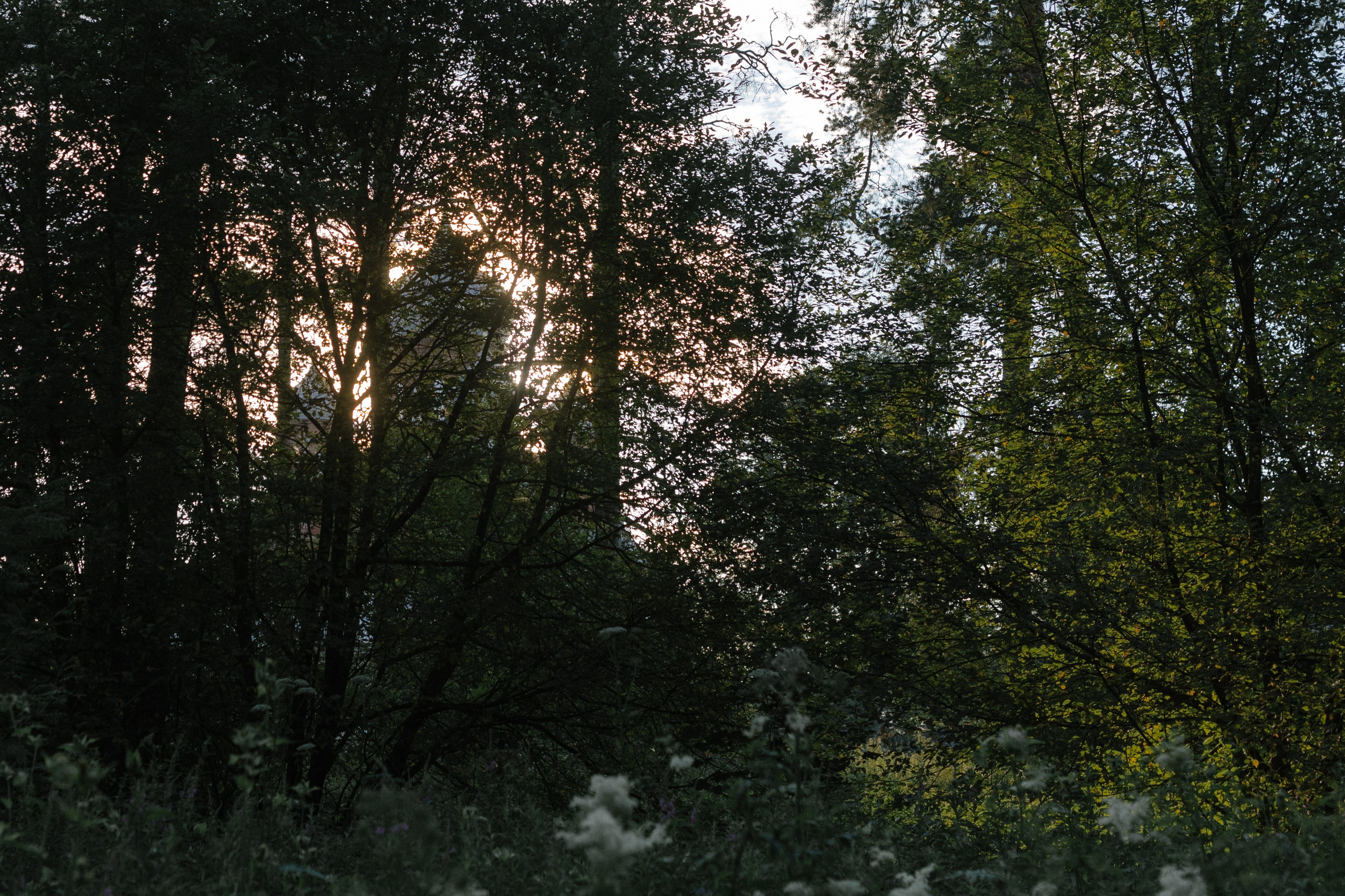 Russia. Documentary and art photographer Alexey Terentyev