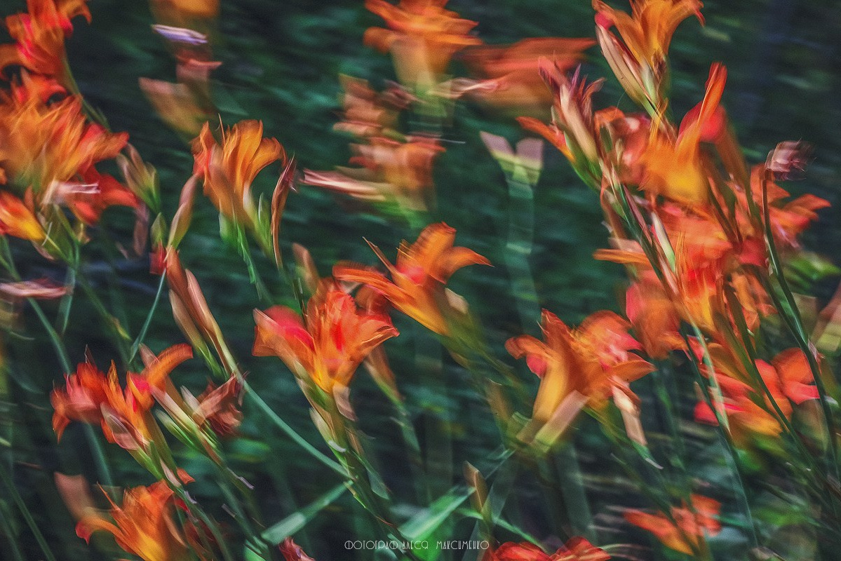 Алеся Максименко «Цветочный вальс». Декор для дома