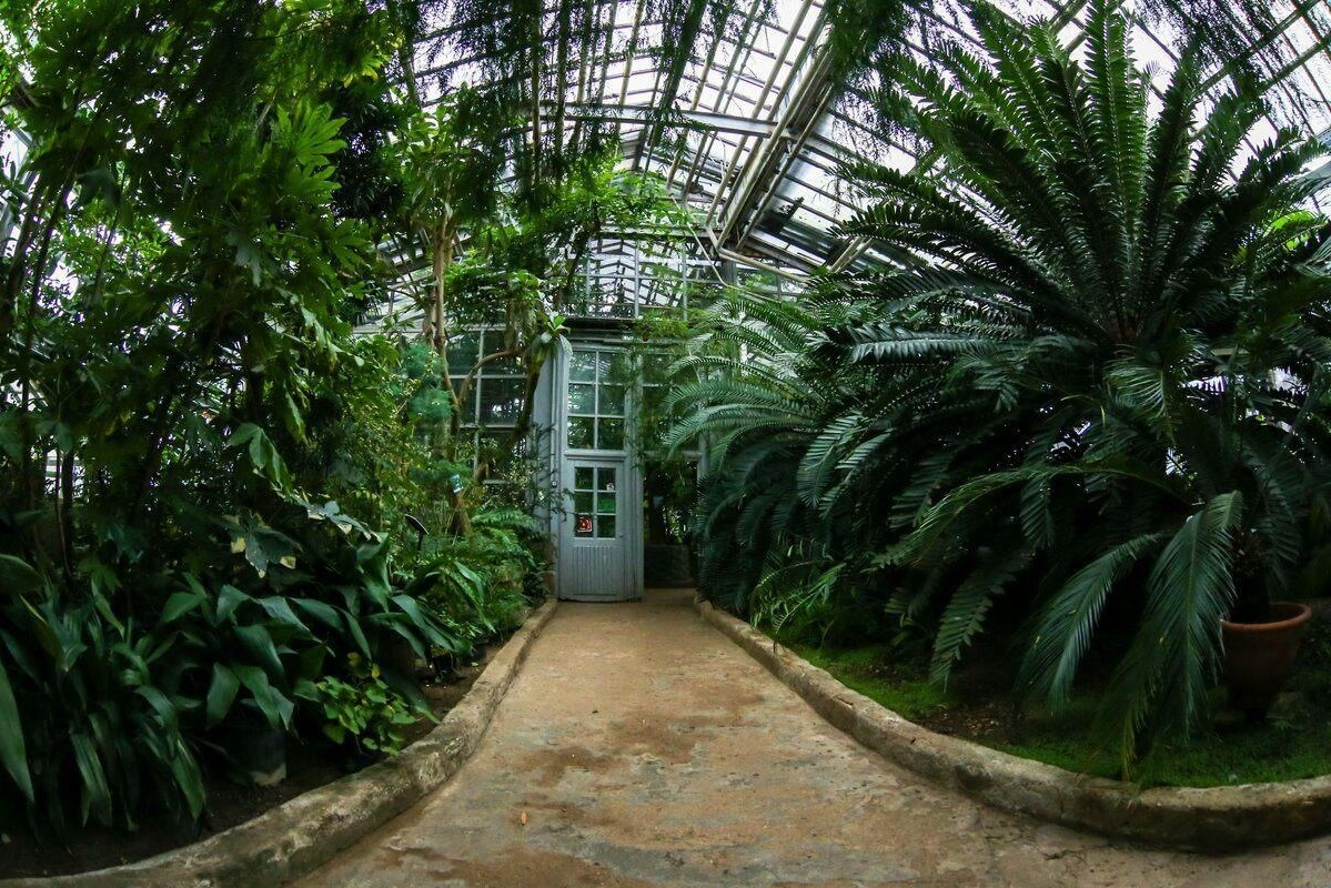 Локации для фотосессий в Москве. Фотограф, фотосессии «Всё включено» в Москве и Московской области