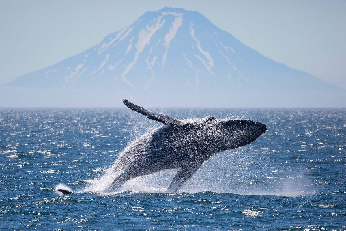Камчатка | лето — осень