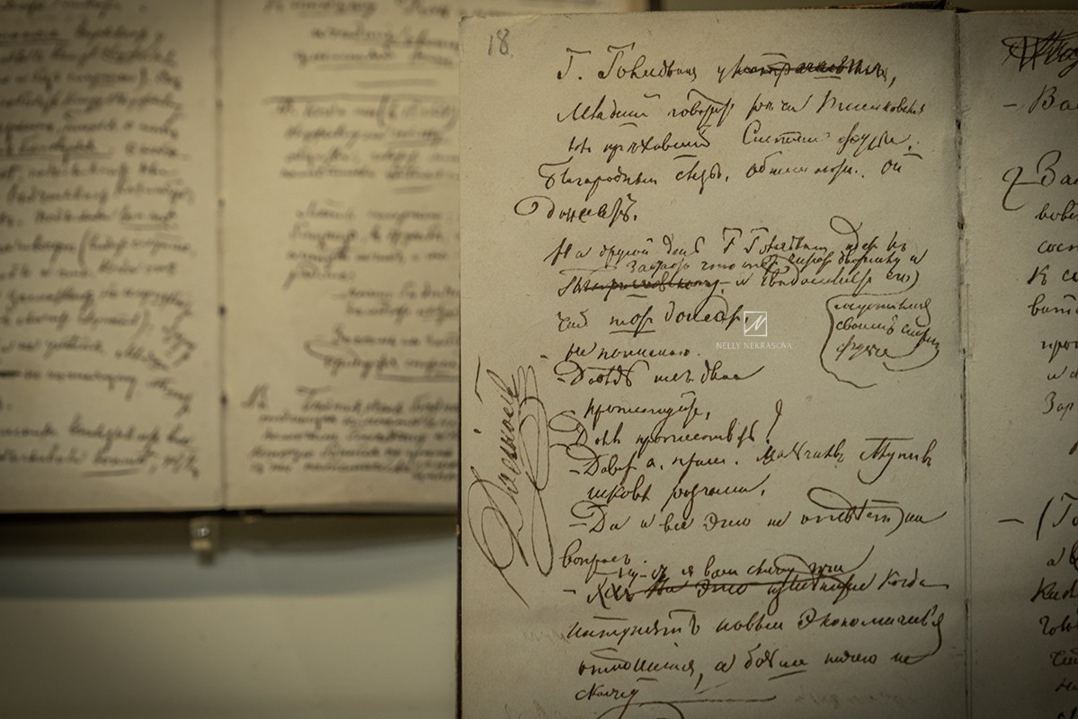 В гостях у Фёдора Михайловича Достоевского в Санкт-Петербурге. Фотограф и искусствовед в Туле и Санкт-Петербурге Нелли Некрасова