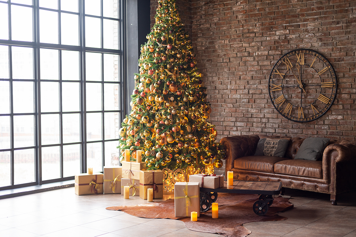 Новогодние фотосессии в Москве 2023. Профессиональная фото и видеосъемка. Москва