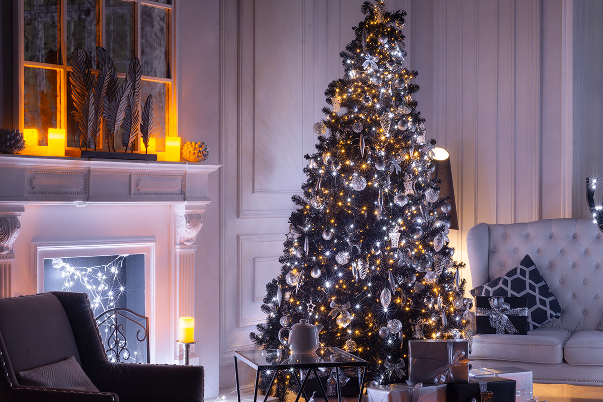 Новогодние фотосессии в Москве 2023. Профессиональная фото и видеосъемка. Москва