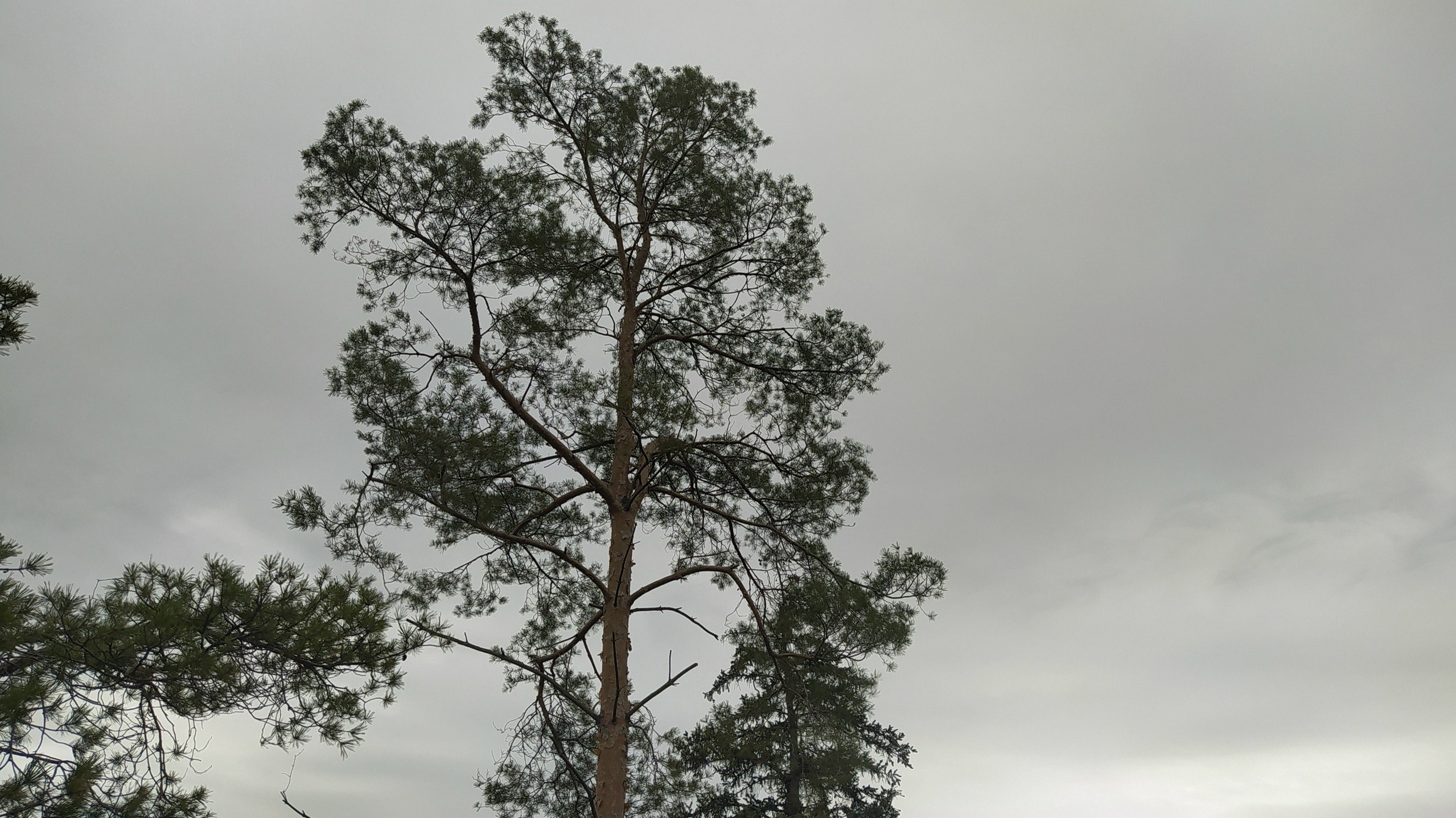 Читальный зал. Марина Рыбкина — Глубинная психология