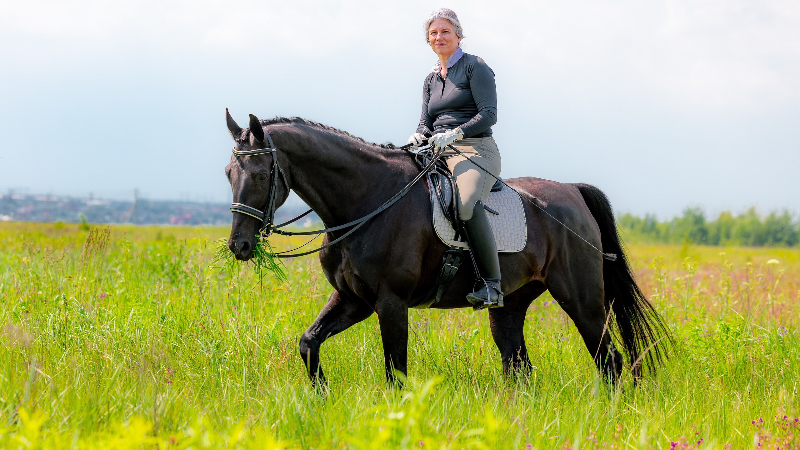 Контакты. Лиана Антонович | Конные стратегии