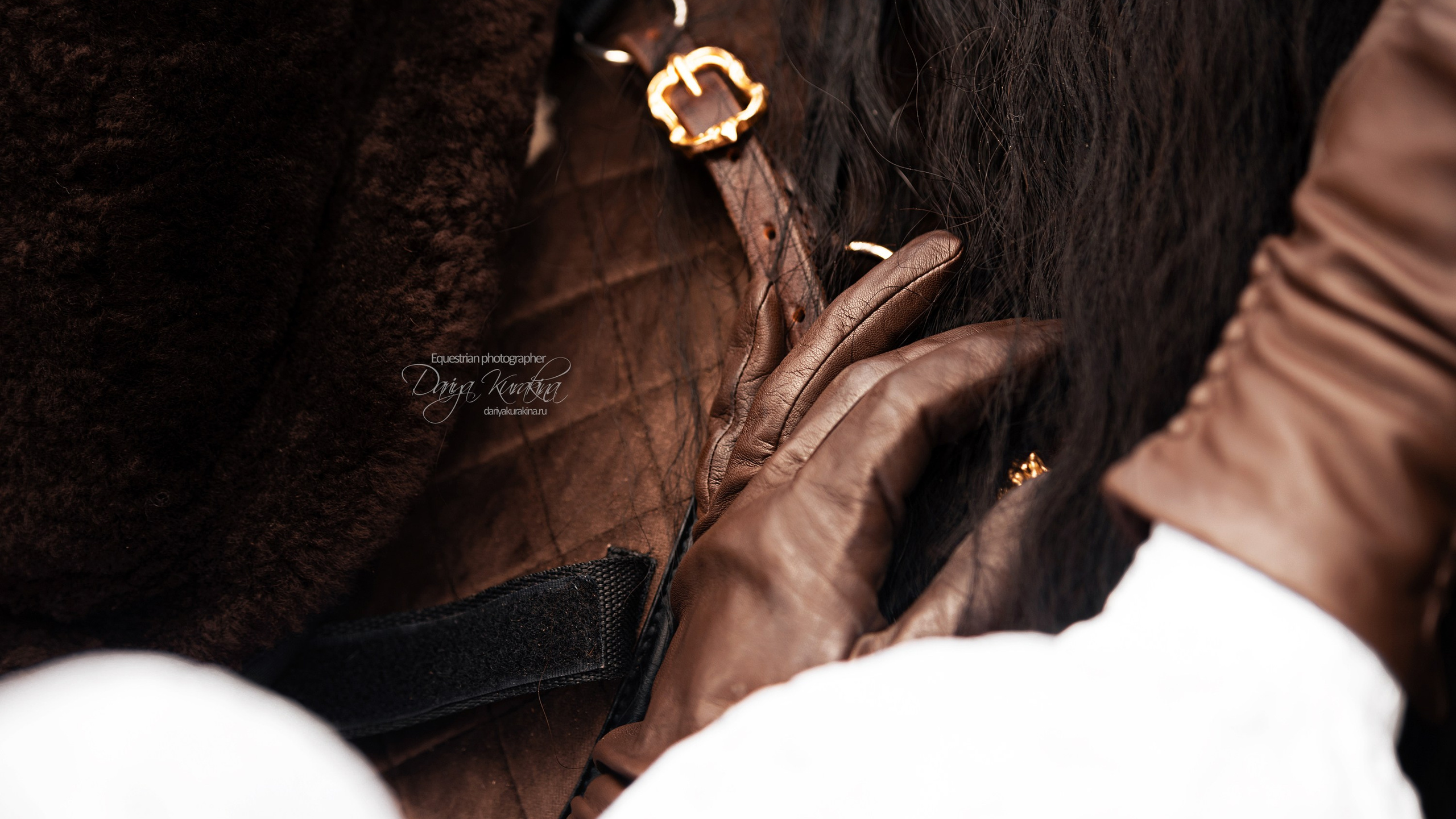 Важная информация. Конный фотограф Куракина Дарья • Фотосессии с лошадьми
