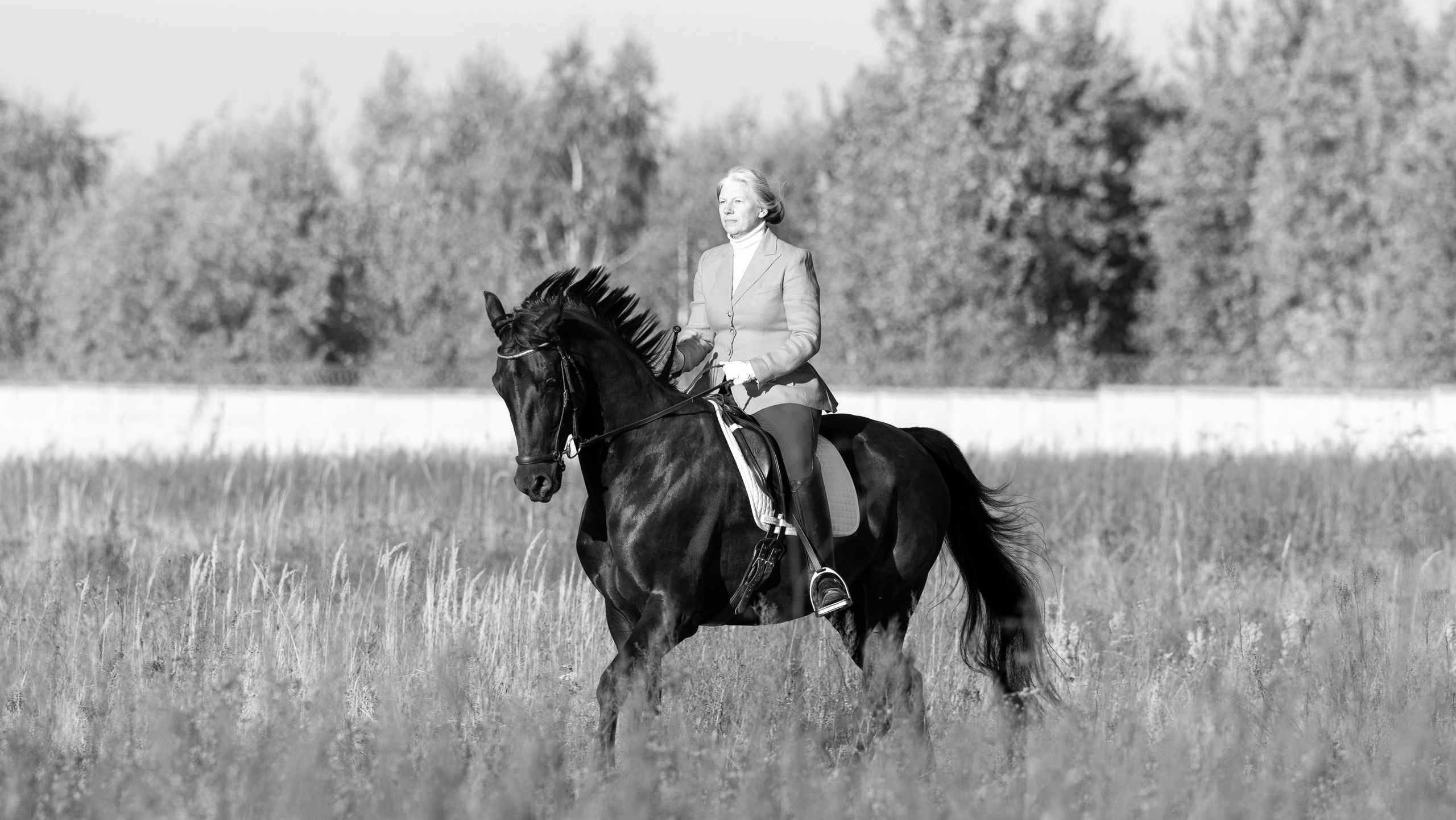 Seminar 5 July Evaluating gates in dressage. Liana Antanovich | Equestrian Strategies