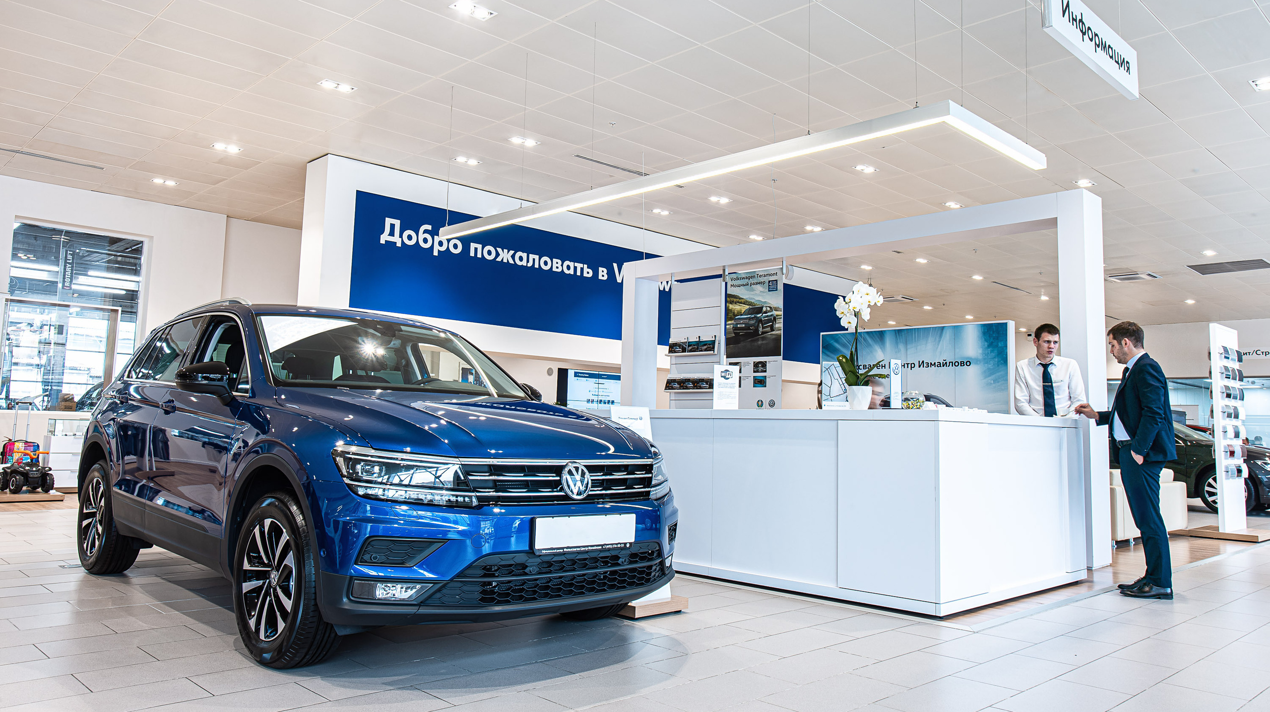 Видеограф Добромыслов