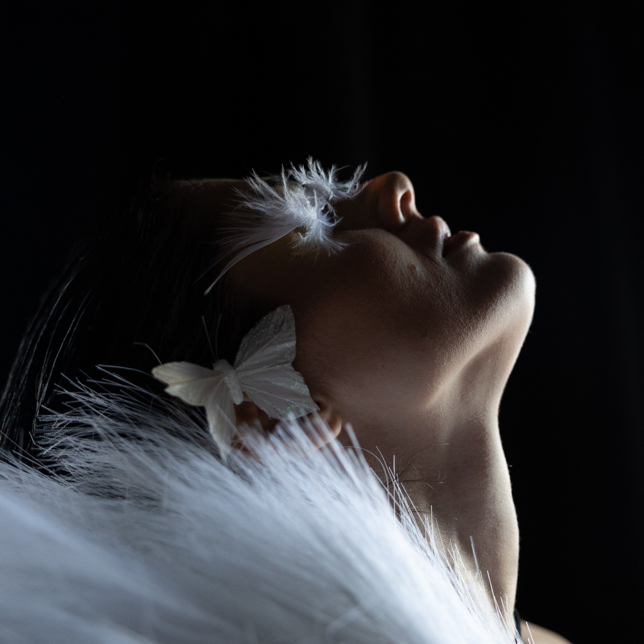 Price. ITMAG.ME | Visual Art