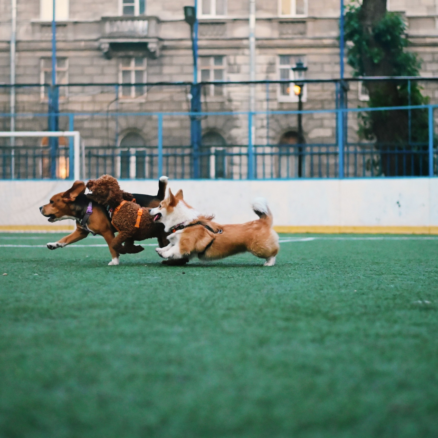 Услуги. Элька Мурзина