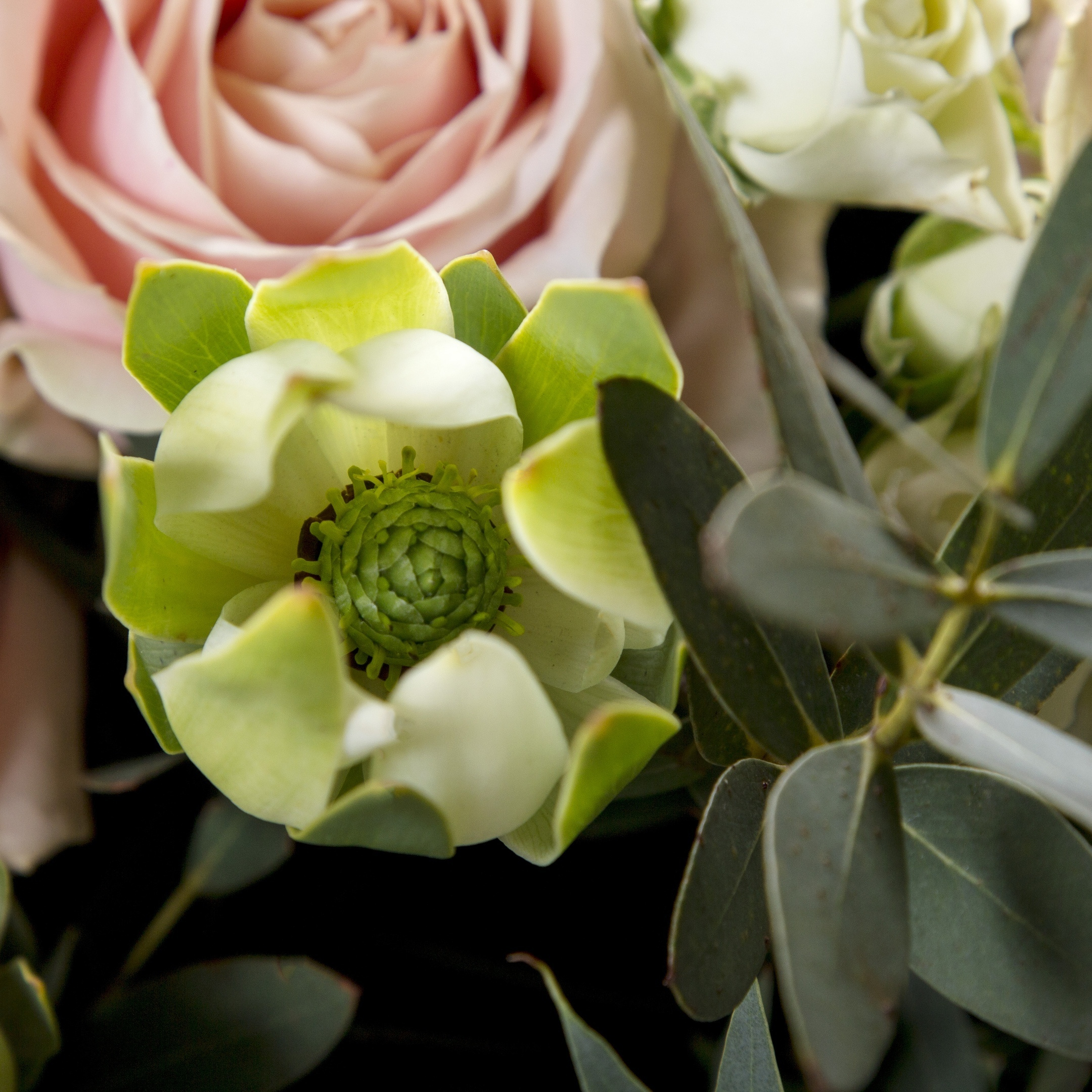 Букет из роз. Флорист Маргарита Гладкова