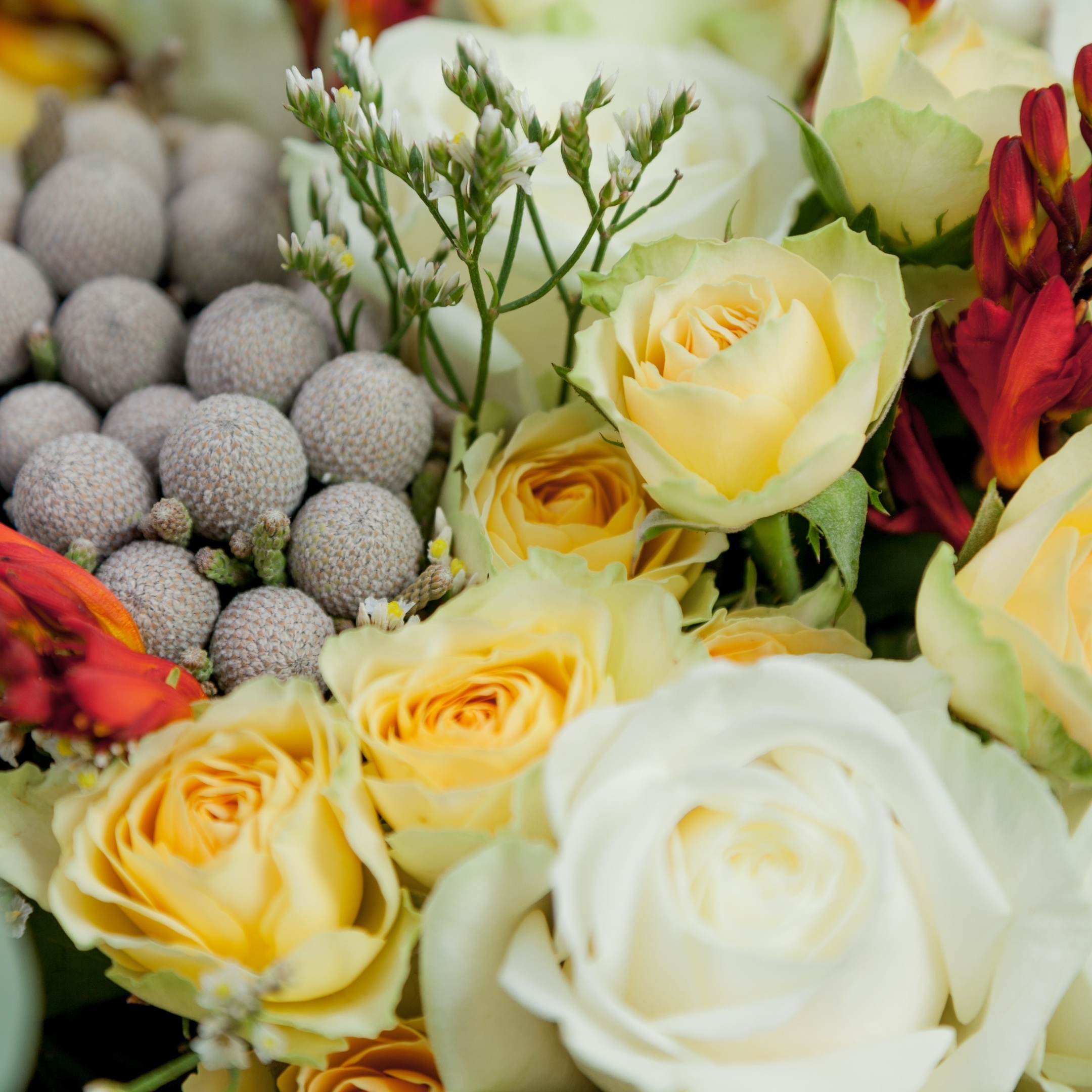 Букет роза одноголовая, роза кустовая, крокосмия, бруния. Флорист Маргарита Гладкова