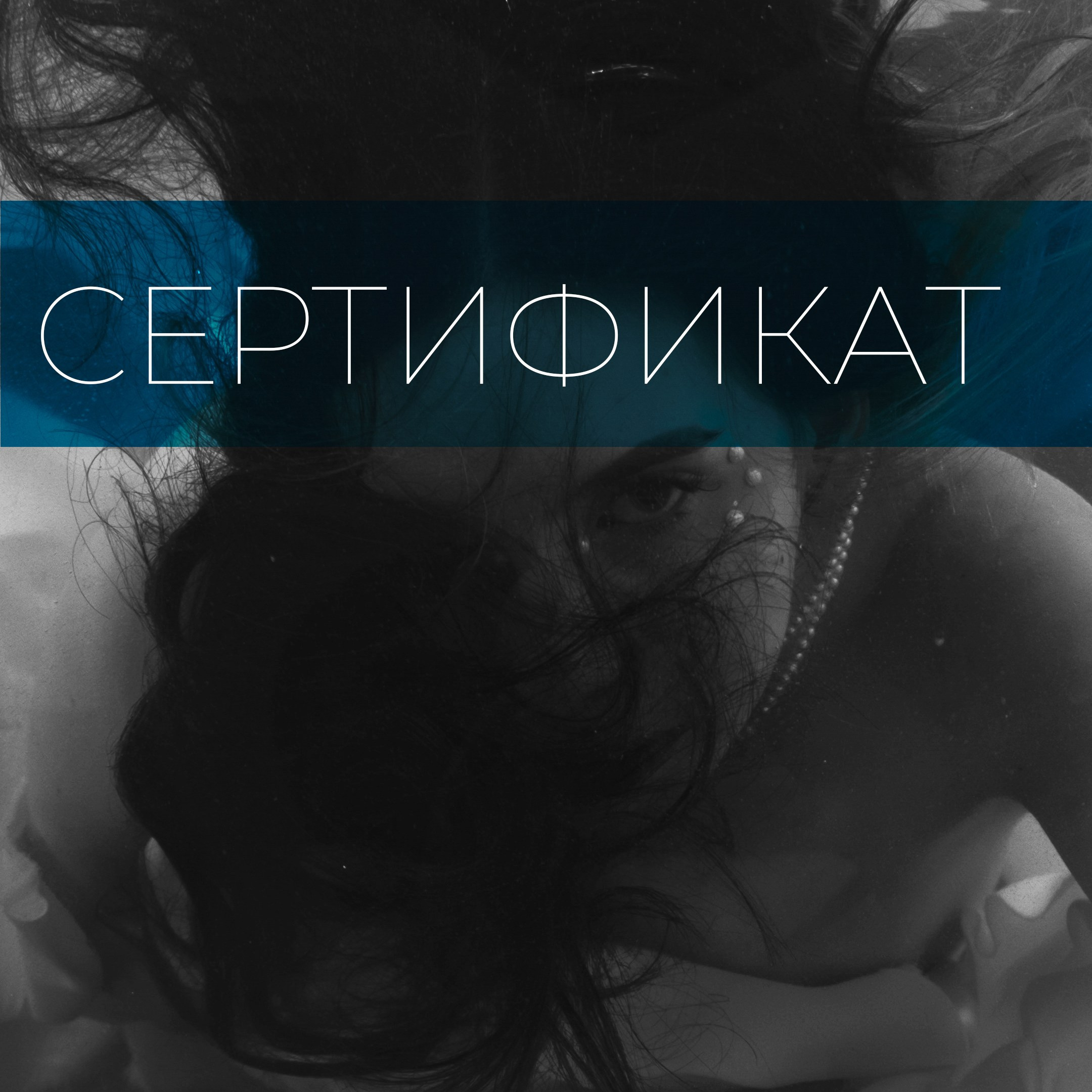 Сертификат. Фэшн фотограф Арина Эльюс в Новосибирске