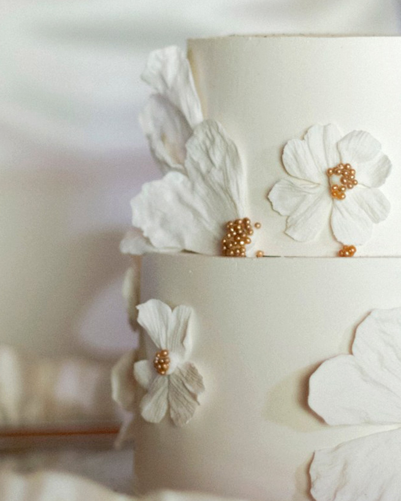 Стоимость. Свадебный и семейный фотограф в Новокузнецке Кемерово Новосибирске Богульская Ульяна