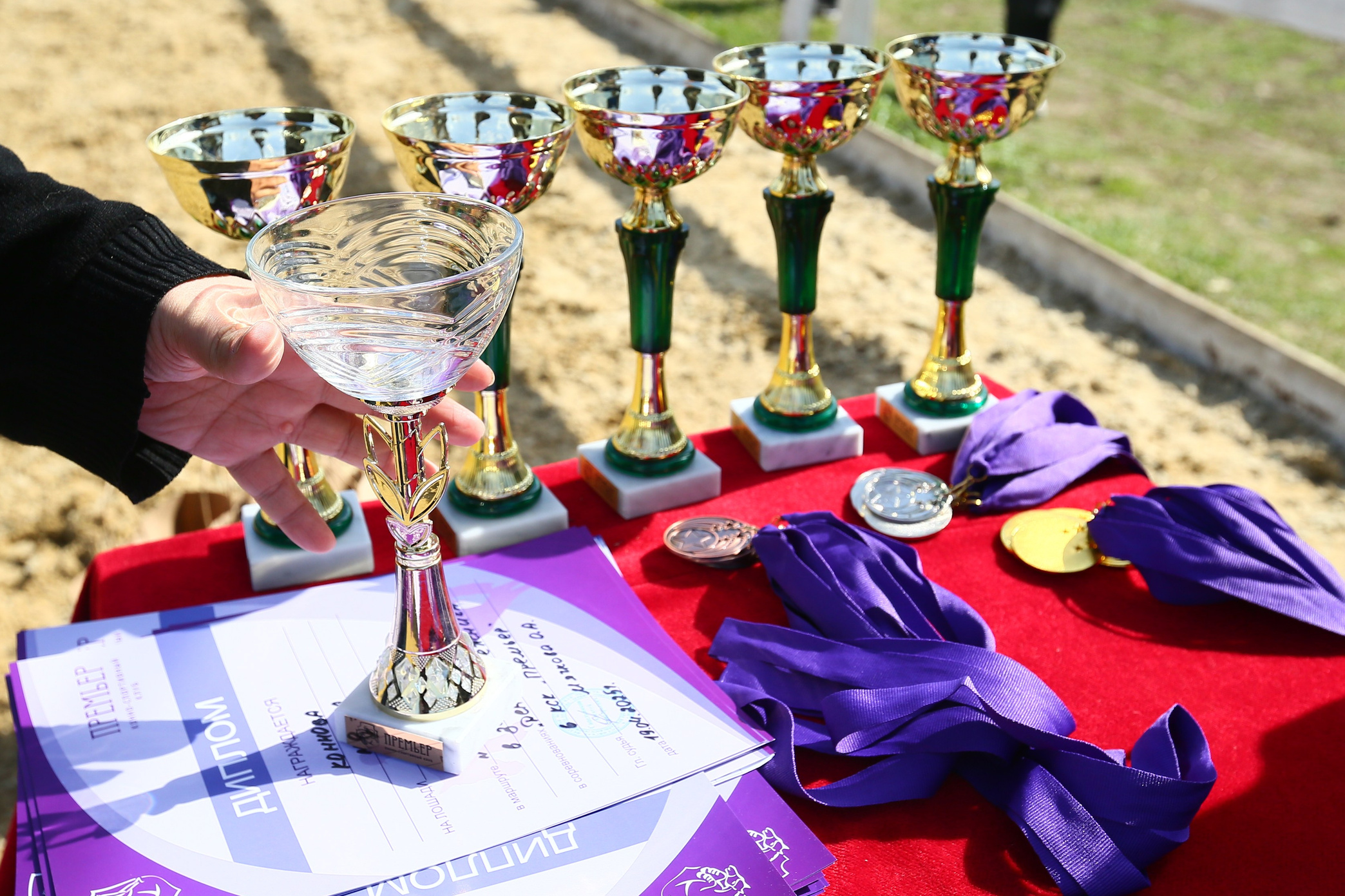 Купить фотографии с турниров. KatymartArt — Equine photography