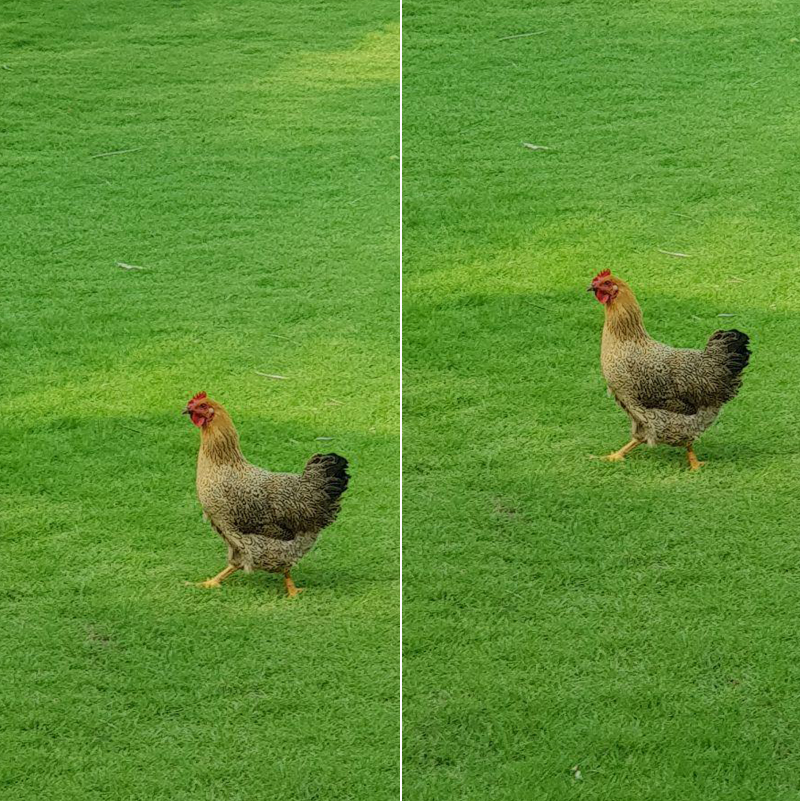 Мобильная съёмка часть 1. Фотограф в жанре Ню. Татьяна Хасанович. Красноярск