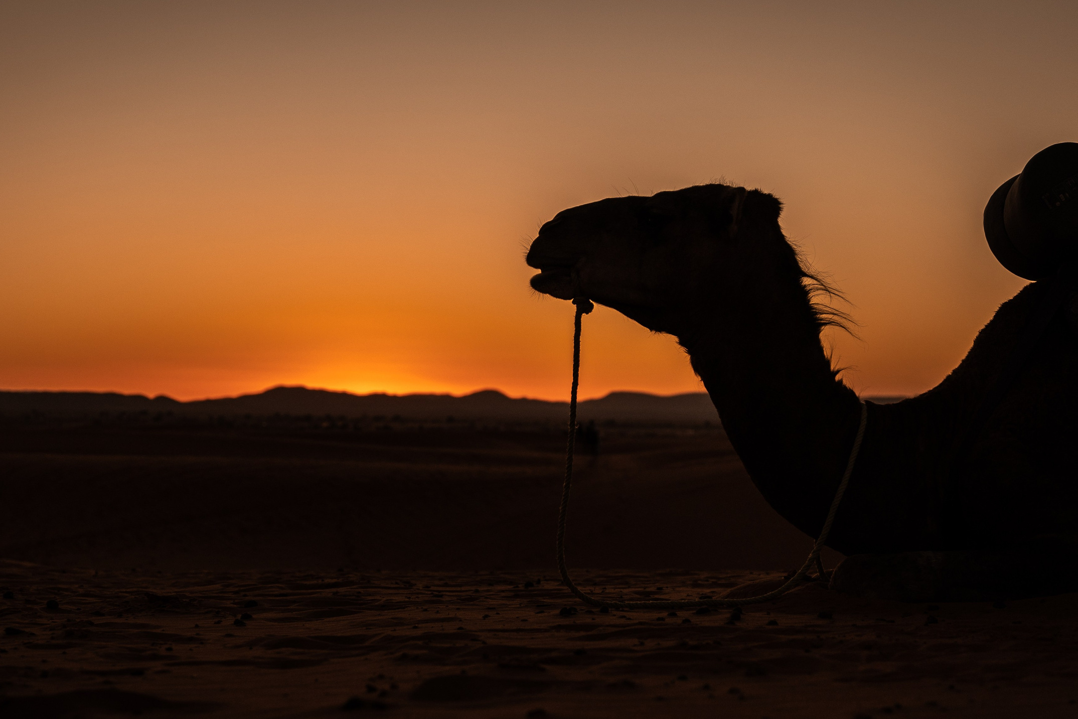 Марокко. Илья Варин — Фотограф Москва, Тверь