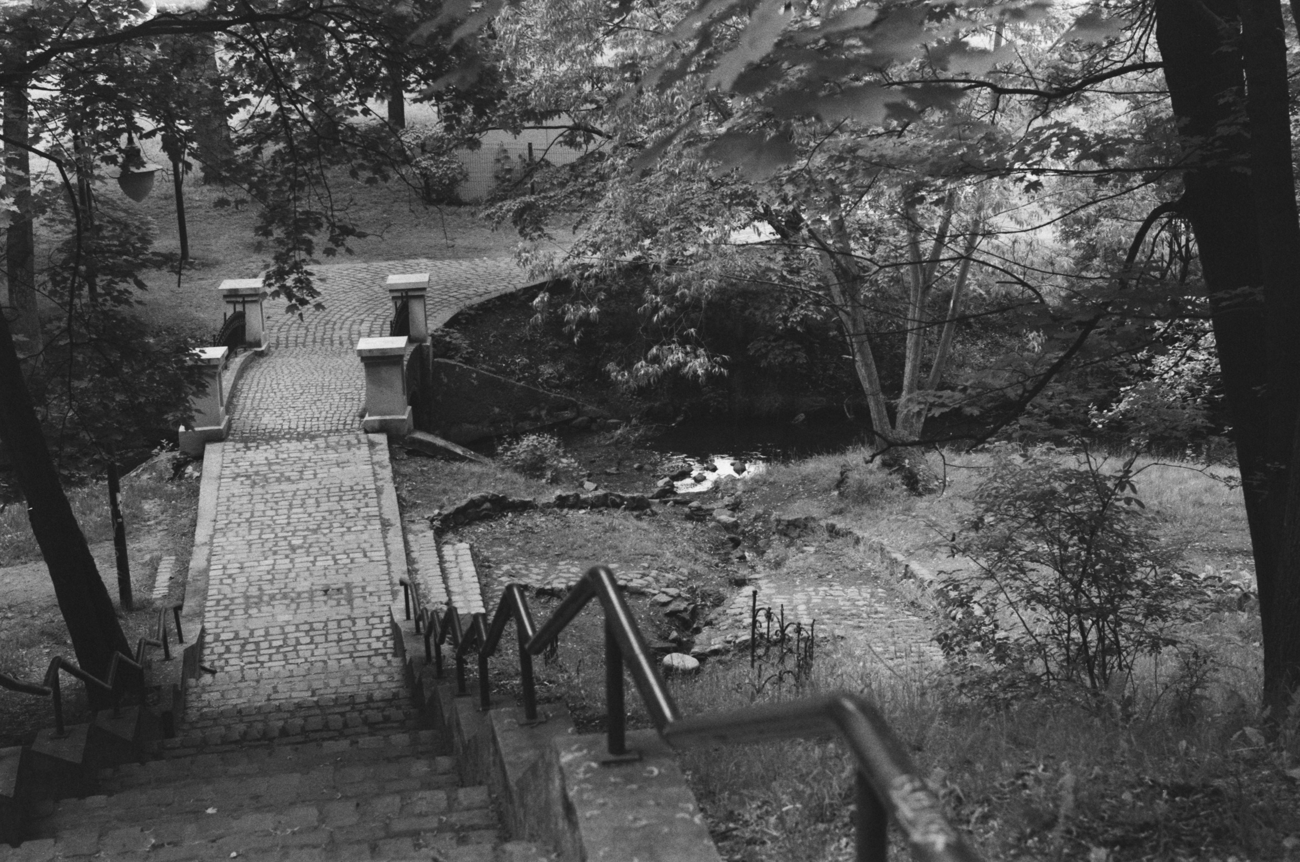 Journal. Photographer Dima Sharov | Фотограф Дима Шаров