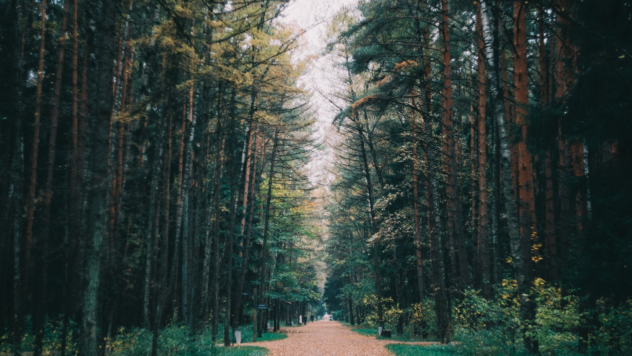 Первые кадры на пленку. Фотограф из Москвы — DASHA NOVA | Авторская фотография в разных жанрах