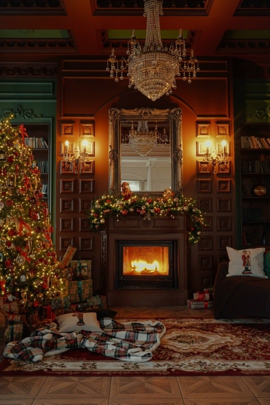 Классические залы для новогодней фотосъемки. Портретный и семейный фотограф в Санкт-Петербурге Чугунова Анастасия