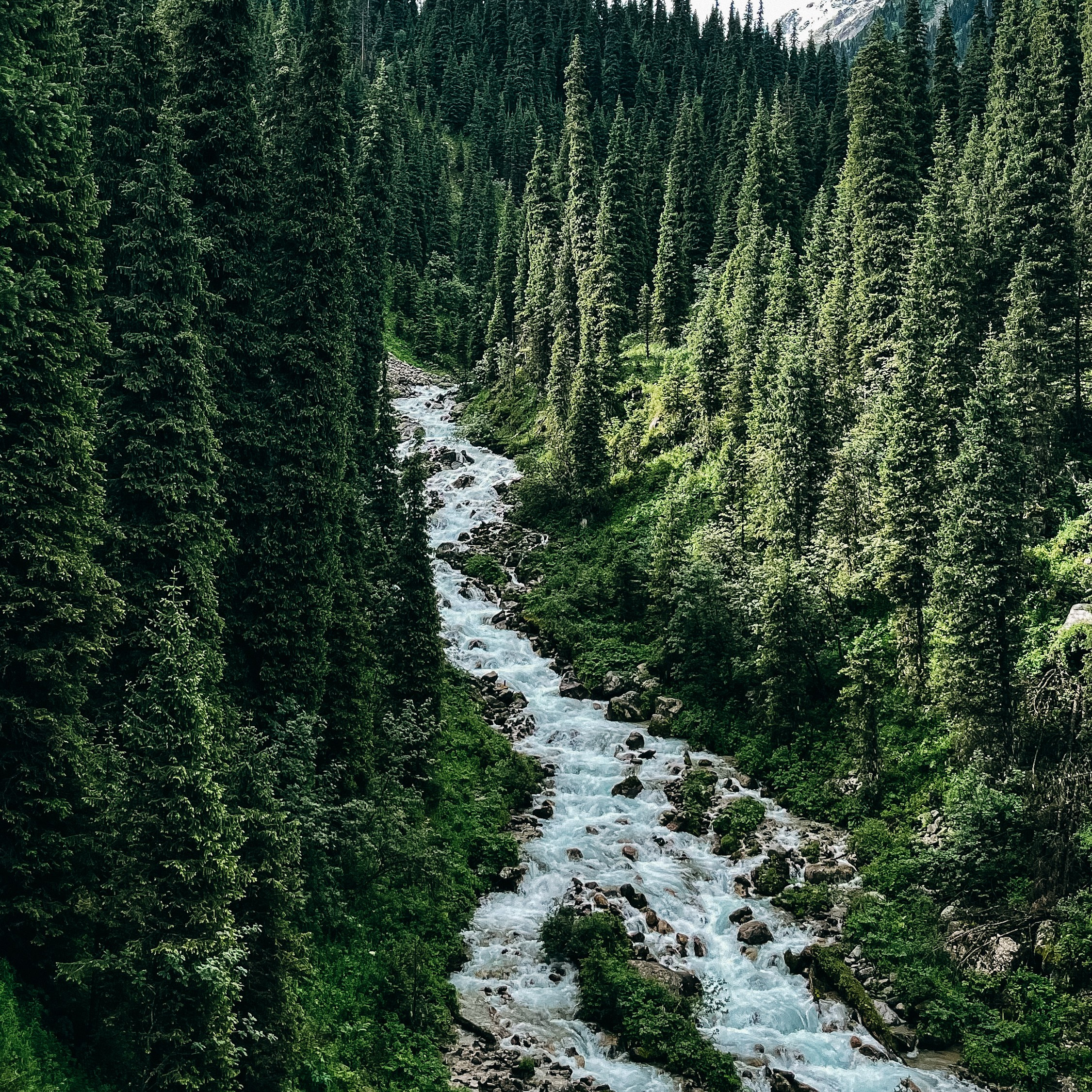 Интенсив по мобильной фотографии (1). Свадебный, семейный и портретный фотограф в Алматы, Костанай