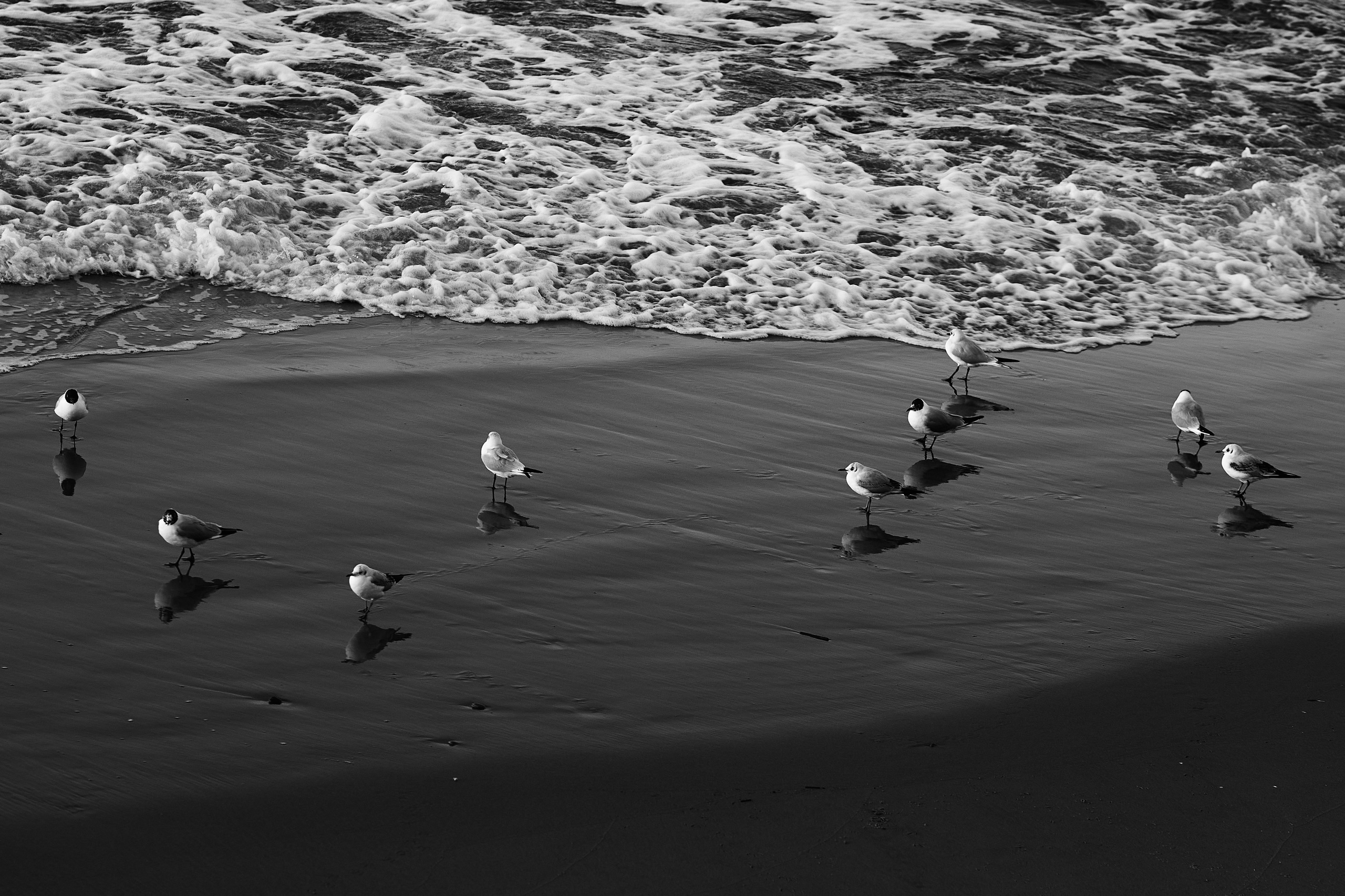 Высота Эфа. Фотограф в Москве Анастасия Баева