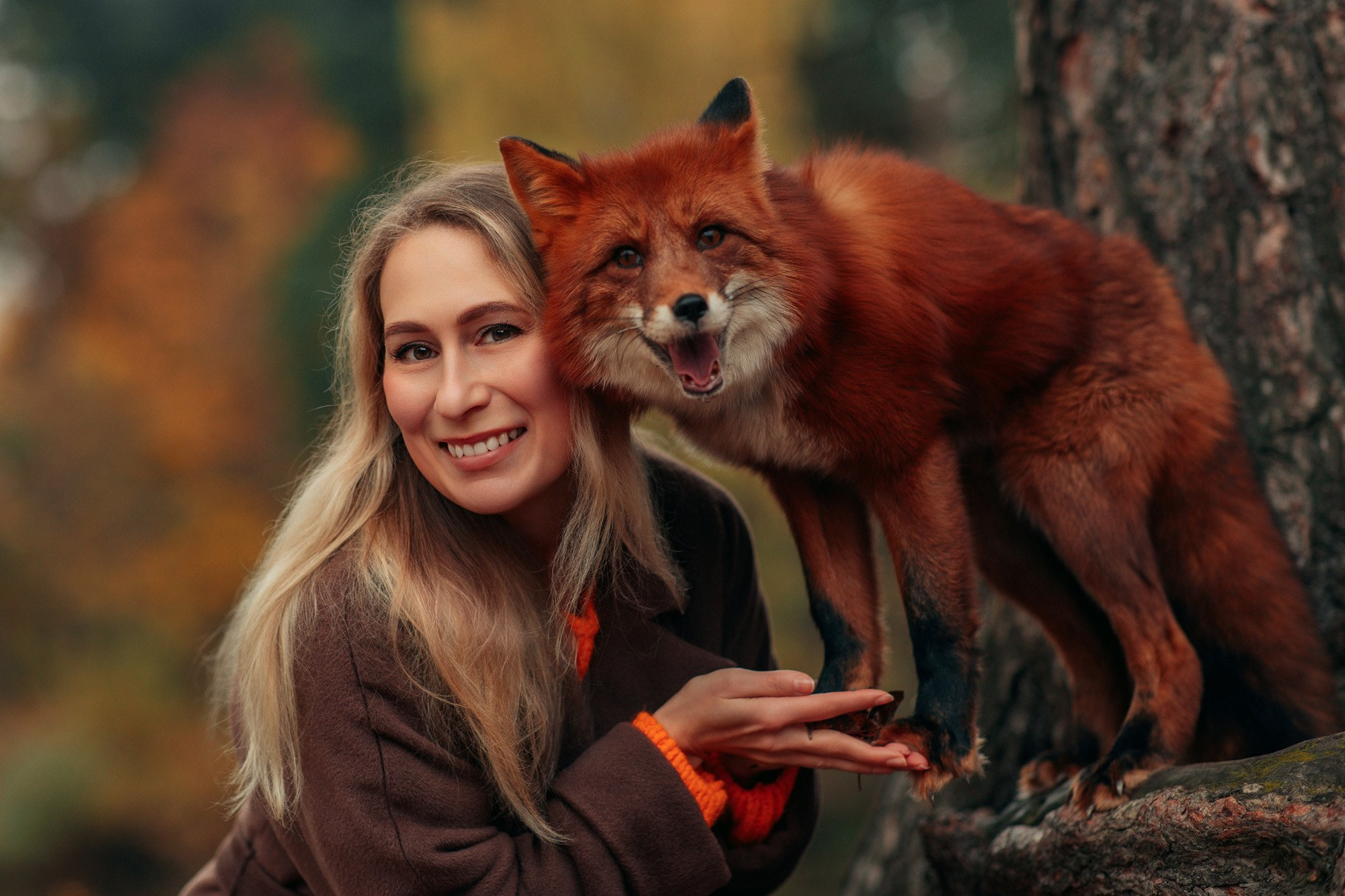 Расписание съёмок. Детский и семейный фотограф с животными в Москве Гурьева Надежда