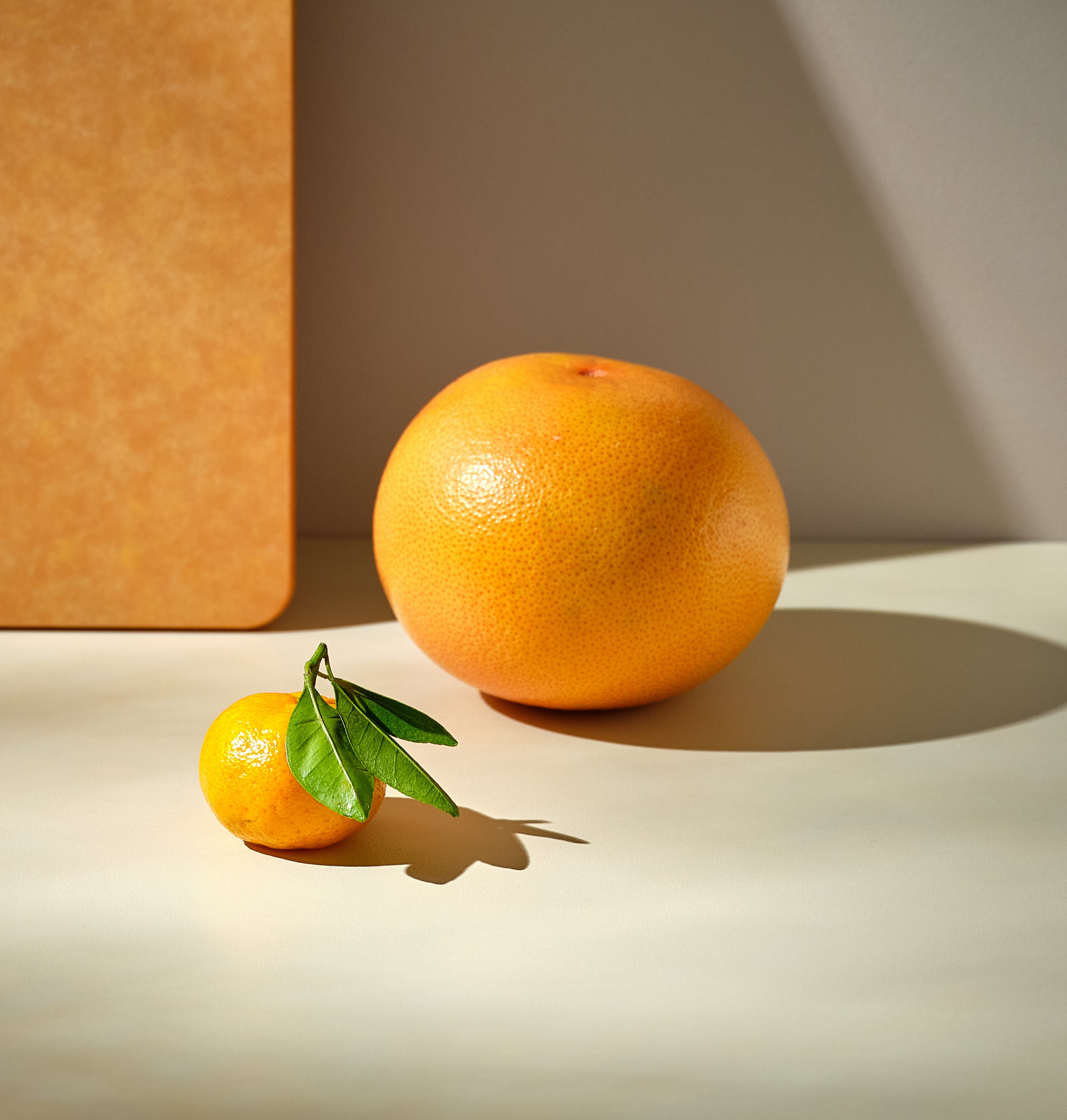 Фуд фотограф