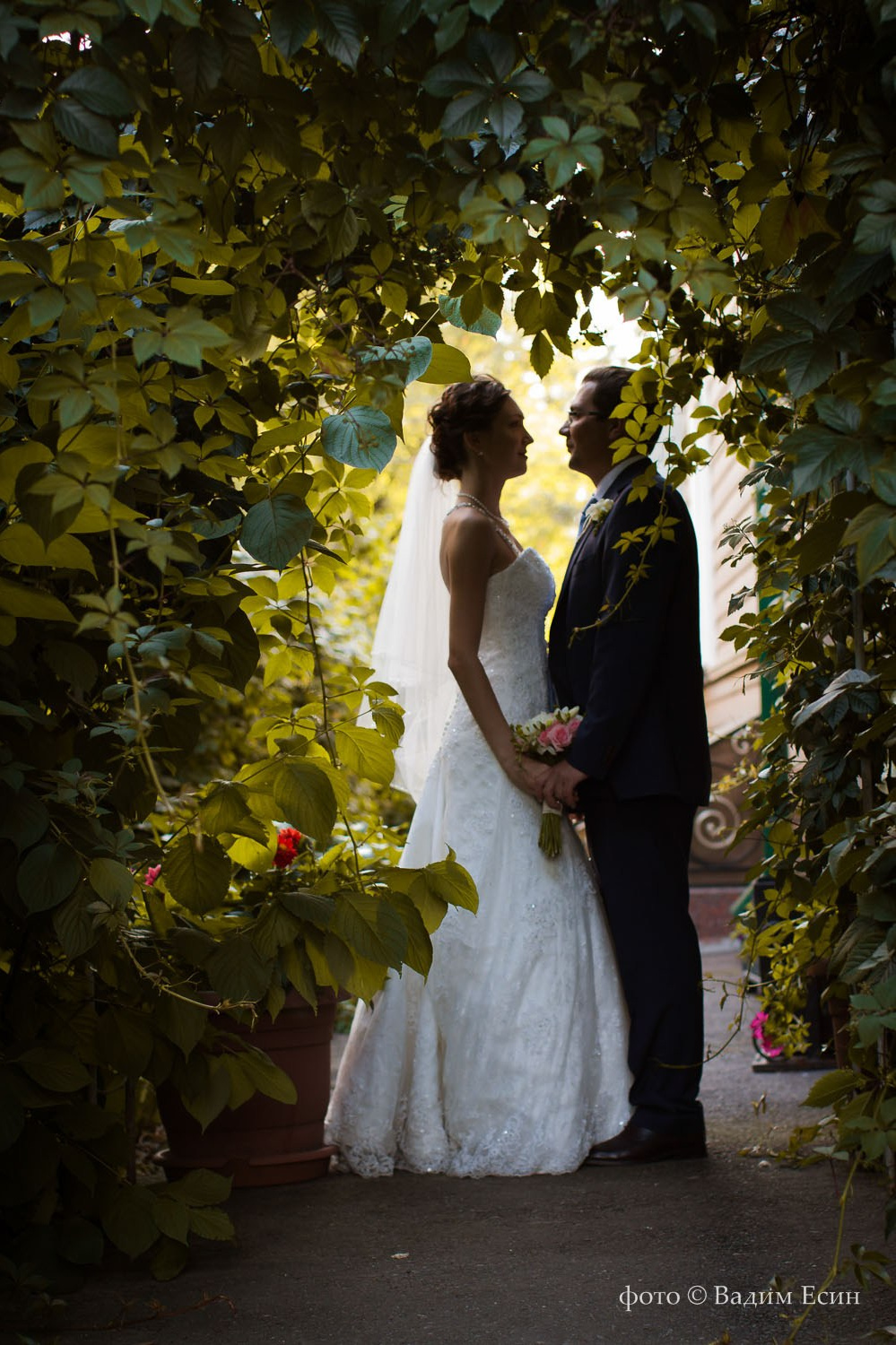 Фотограф на свадьбу | цена