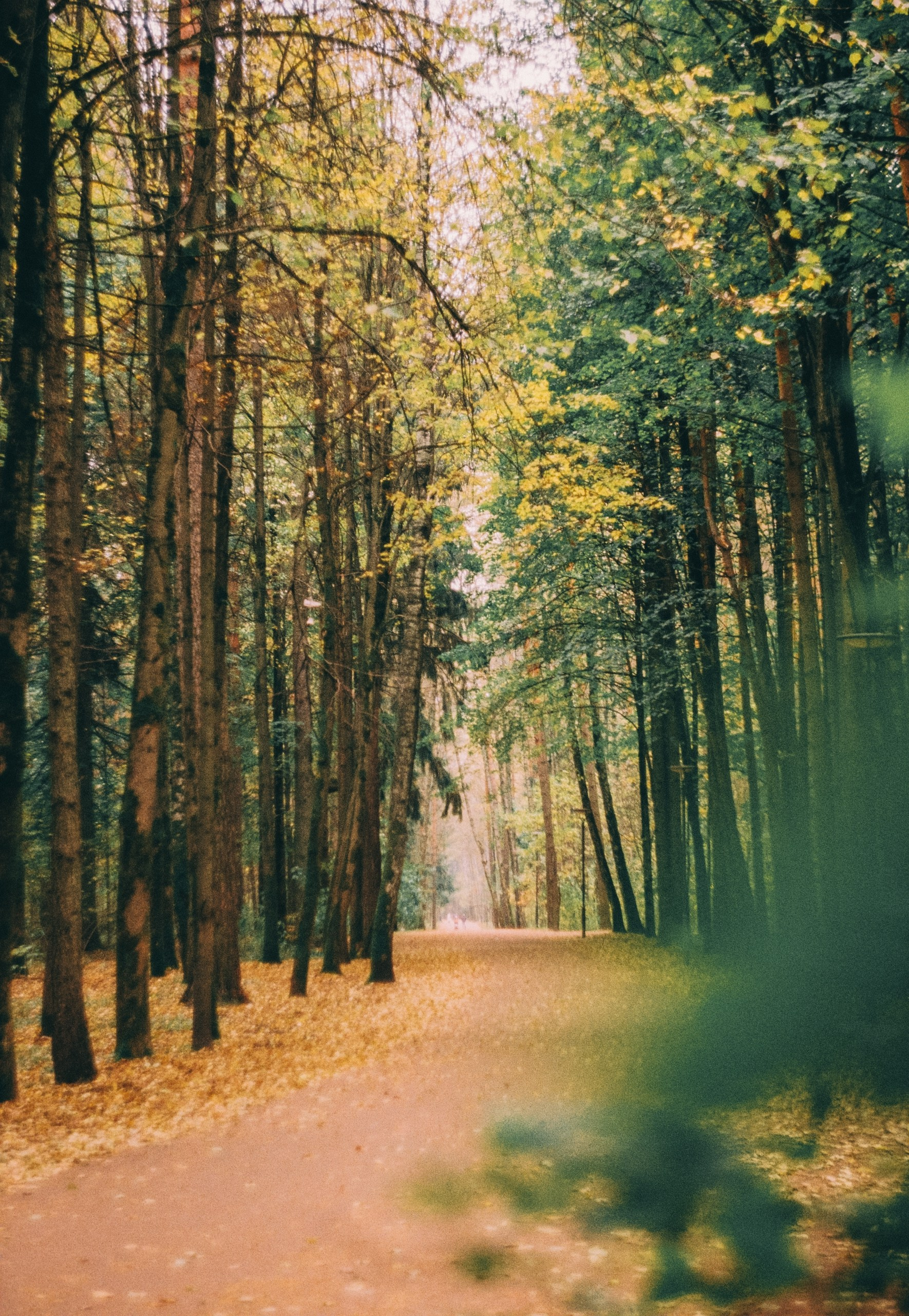 Первые кадры на пленку. Фотограф из Москвы — DASHA NOVA | Авторская фотография в разных жанрах