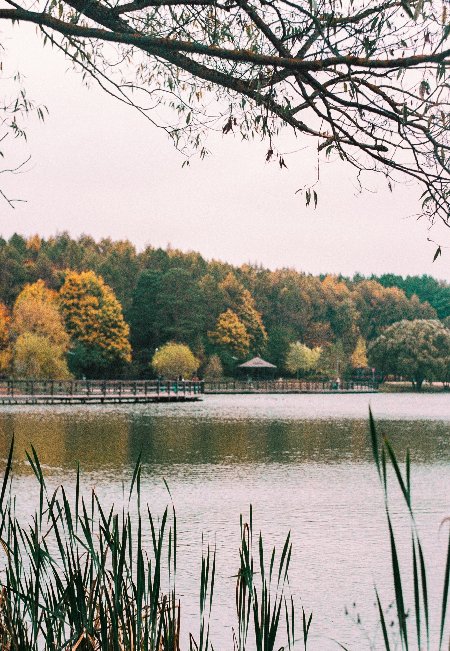 Первые кадры на пленку. Фотограф из Москвы — DASHA NOVA | Авторская фотография в разных жанрах