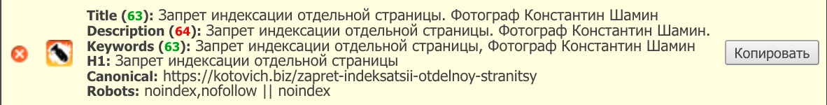 Запрет индексации отдельной страницы. Фотограф Константин Шамин