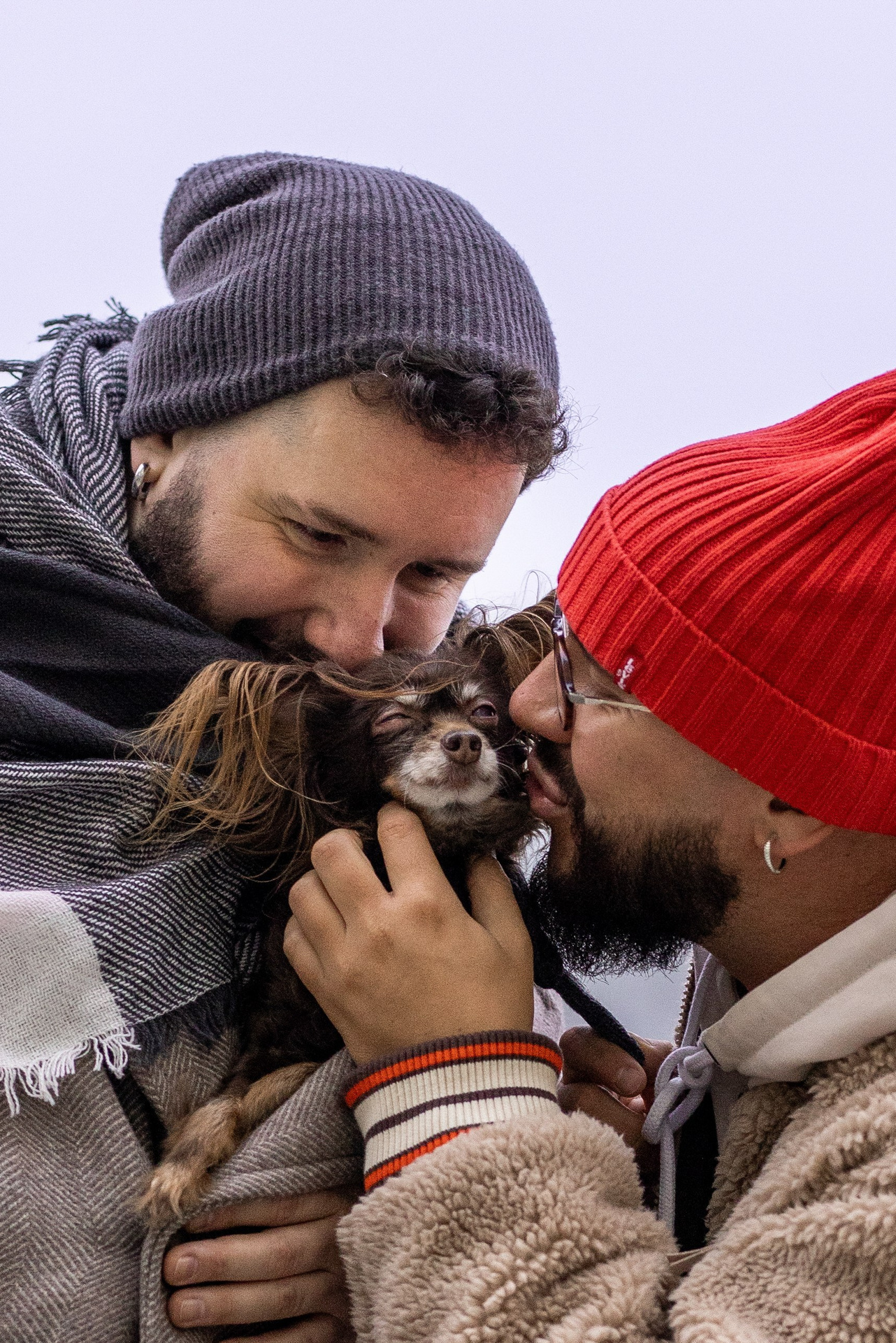 Услуги и стоимость. Фотограф-анималист в Москве Кириллова Татьяна