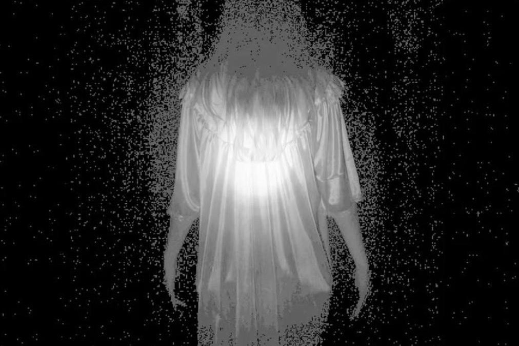 Индивидуальные консультации. Самоорганизация Низина