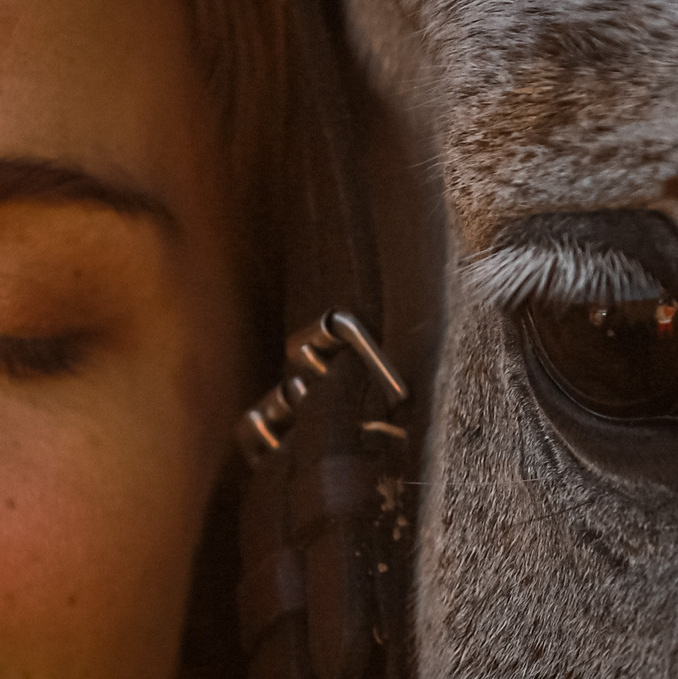 Коротко о главном