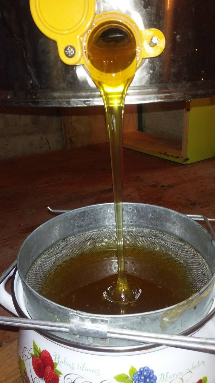 Пасека экофермы и работы на ней. Эко отдых в Подмосковье в эко-отеле Марии Гиппенрейтер