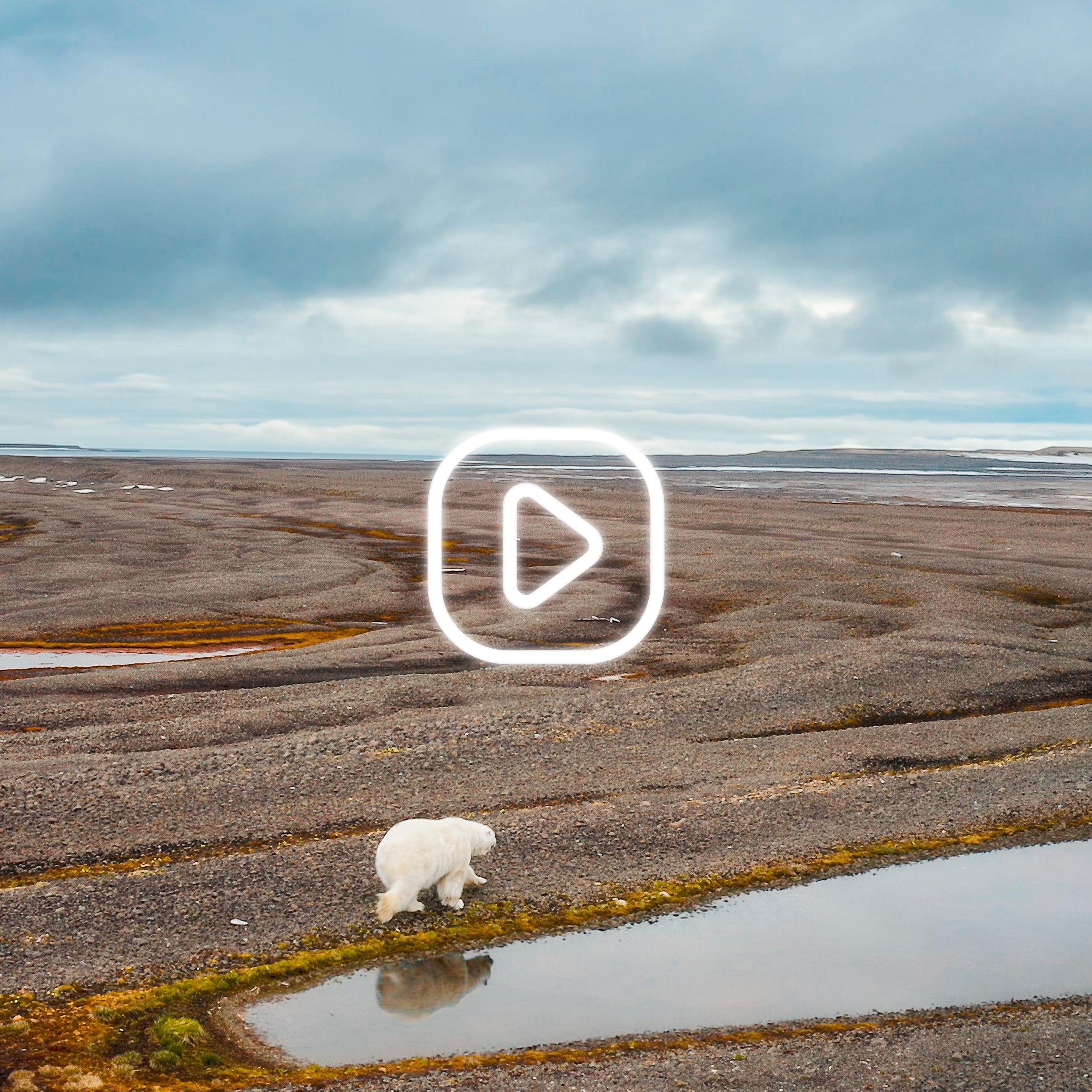 Аэросъемка в Архангельске, аэрофотосъемка аэровидеосъемка, фотографии на календарь, фотограф Александр Ермолин. Профессиональная фотосъемка и видеосъемка для бизнеса Архитектура и недвижимость Промышленность и производство Интерьеры и дизайн Панорамы 360° и VR-туры Аэросъемка в Архангельске, аэрофотосъемка аэровидеосъемка, фотографии на календарь фотограф Александр Ермолин