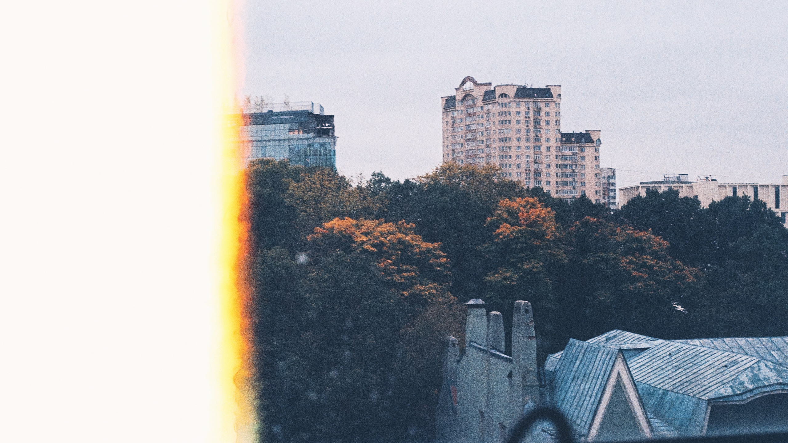 Первые кадры на пленку. Фотограф из Москвы — DASHA NOVA | Авторская фотография в разных жанрах