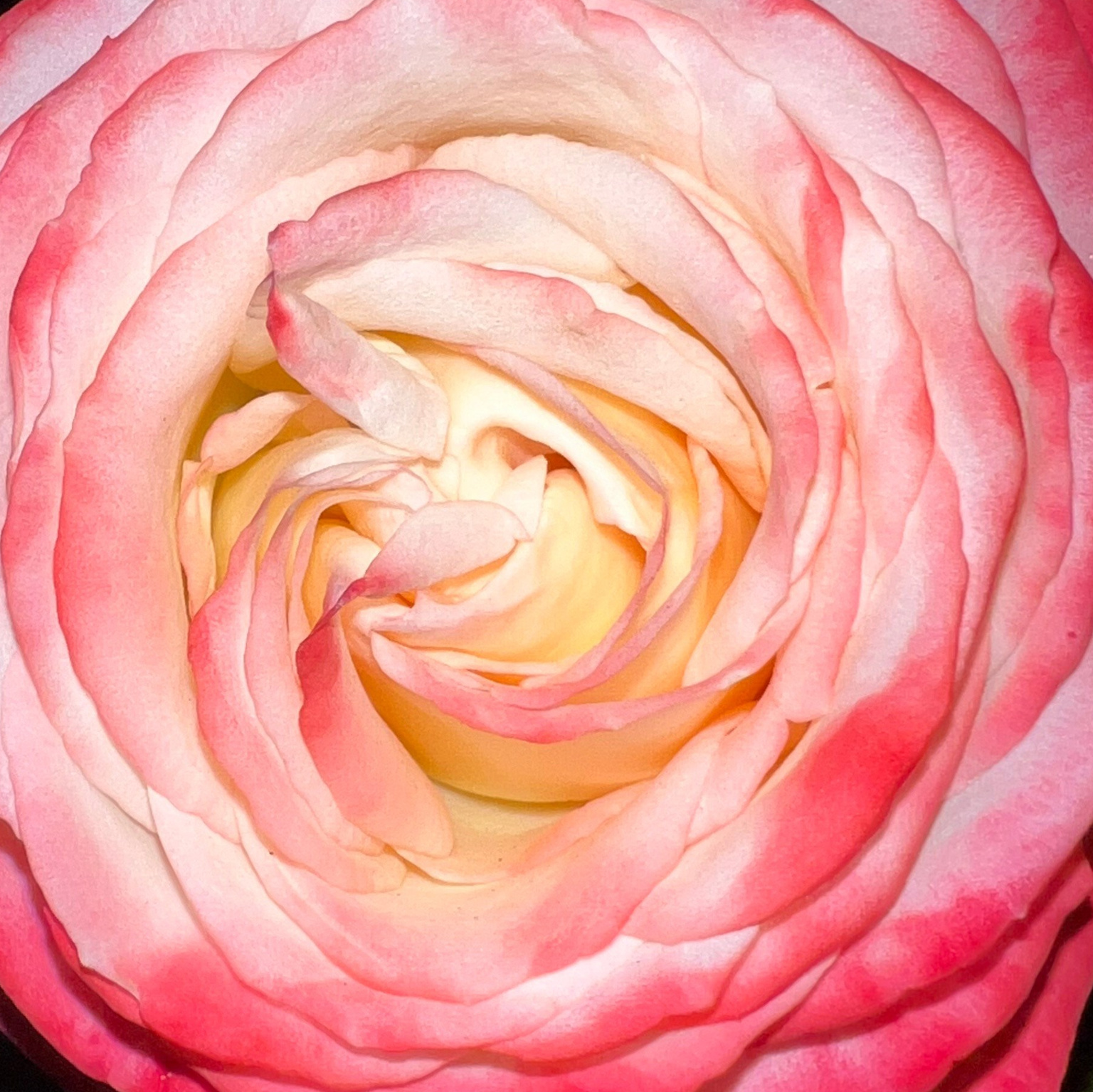 Лекции. Анна Хвалина НЛП-практик