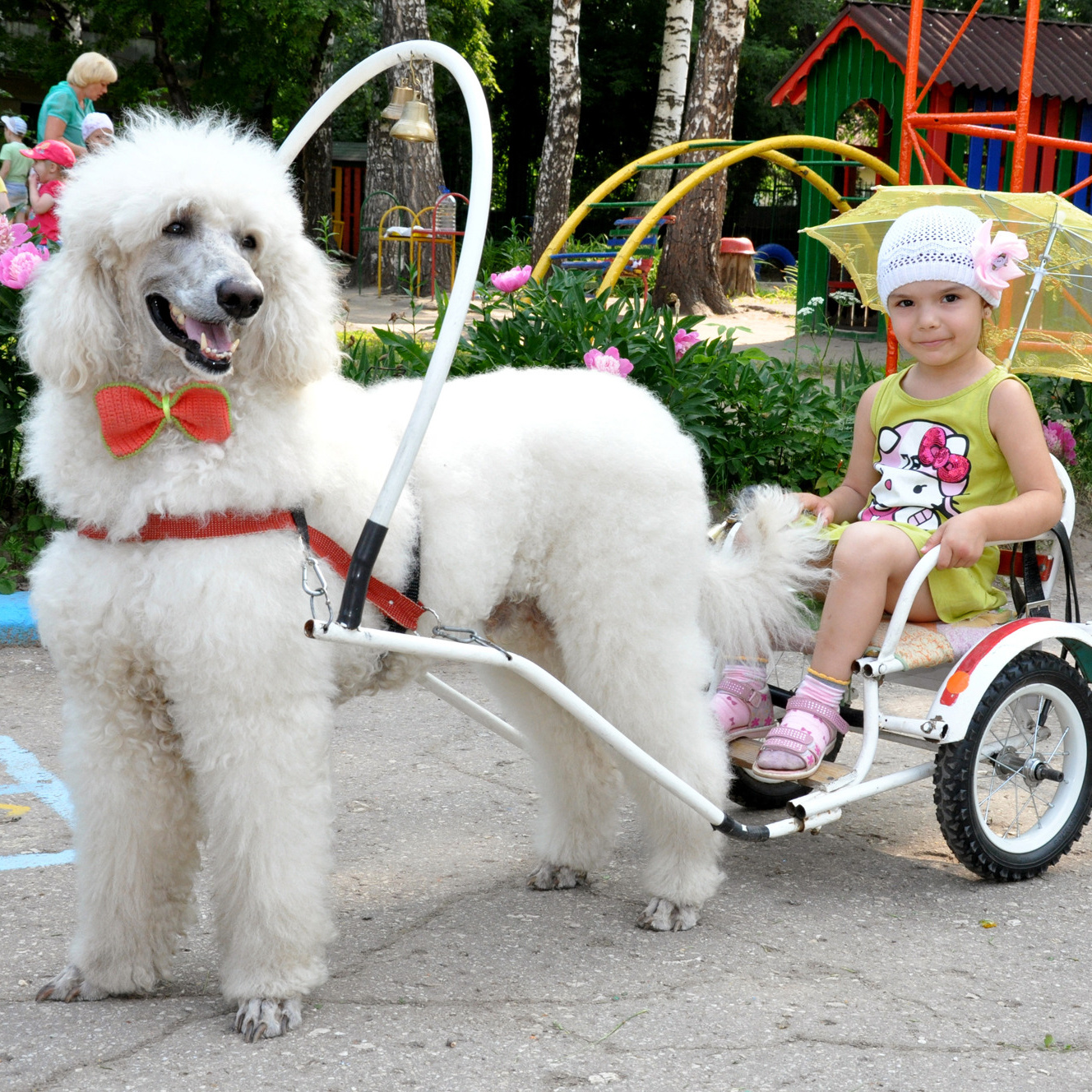 Охота на садики. Фотостудия Портрет Свадебный и семейный фотограф в Рязани