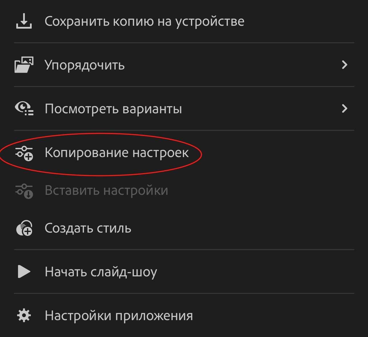 Пресеты. Фотограф Alena Ray