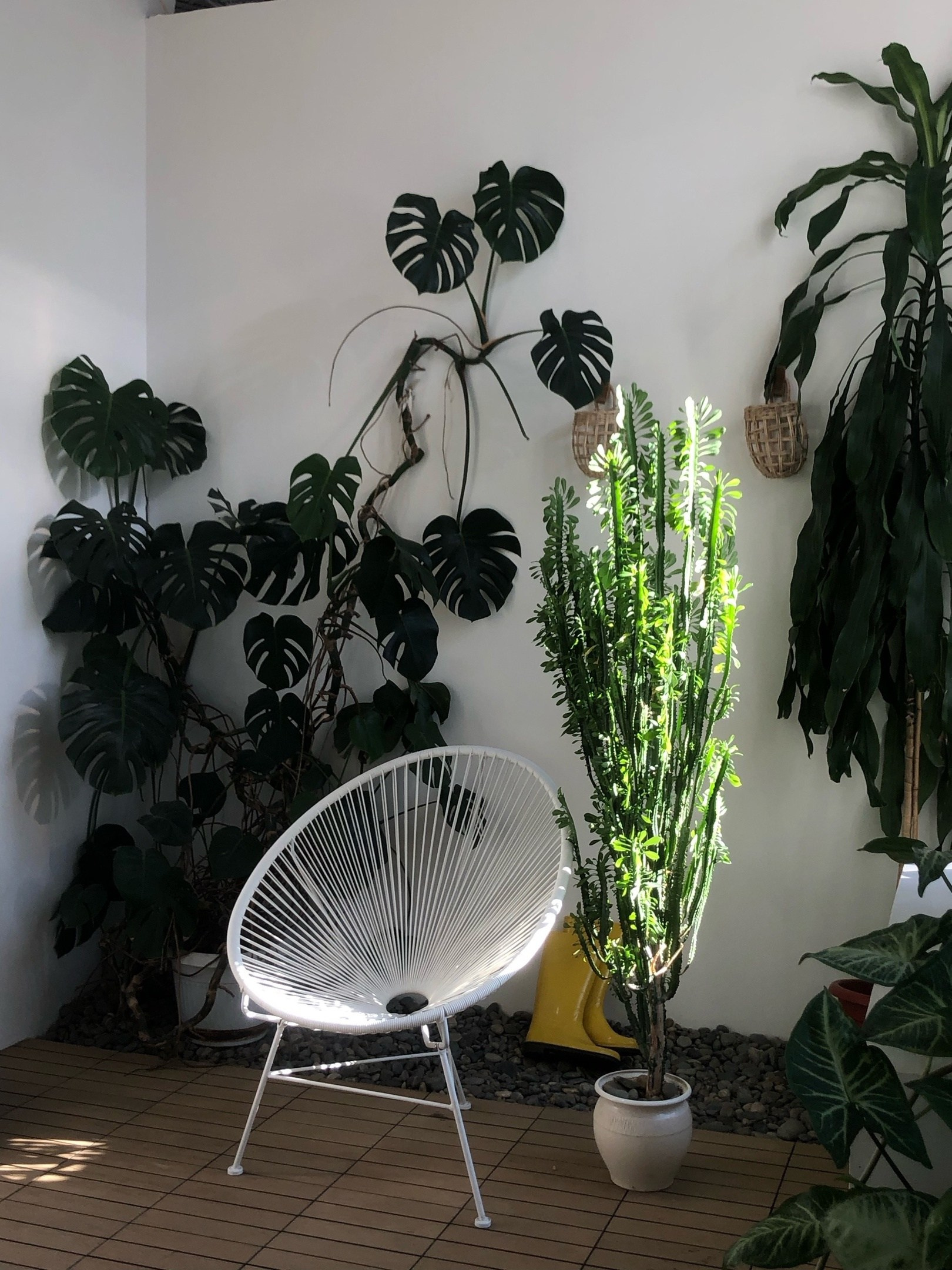 Мокрая съёмка. Фотограф Елизавета Хамович Омск