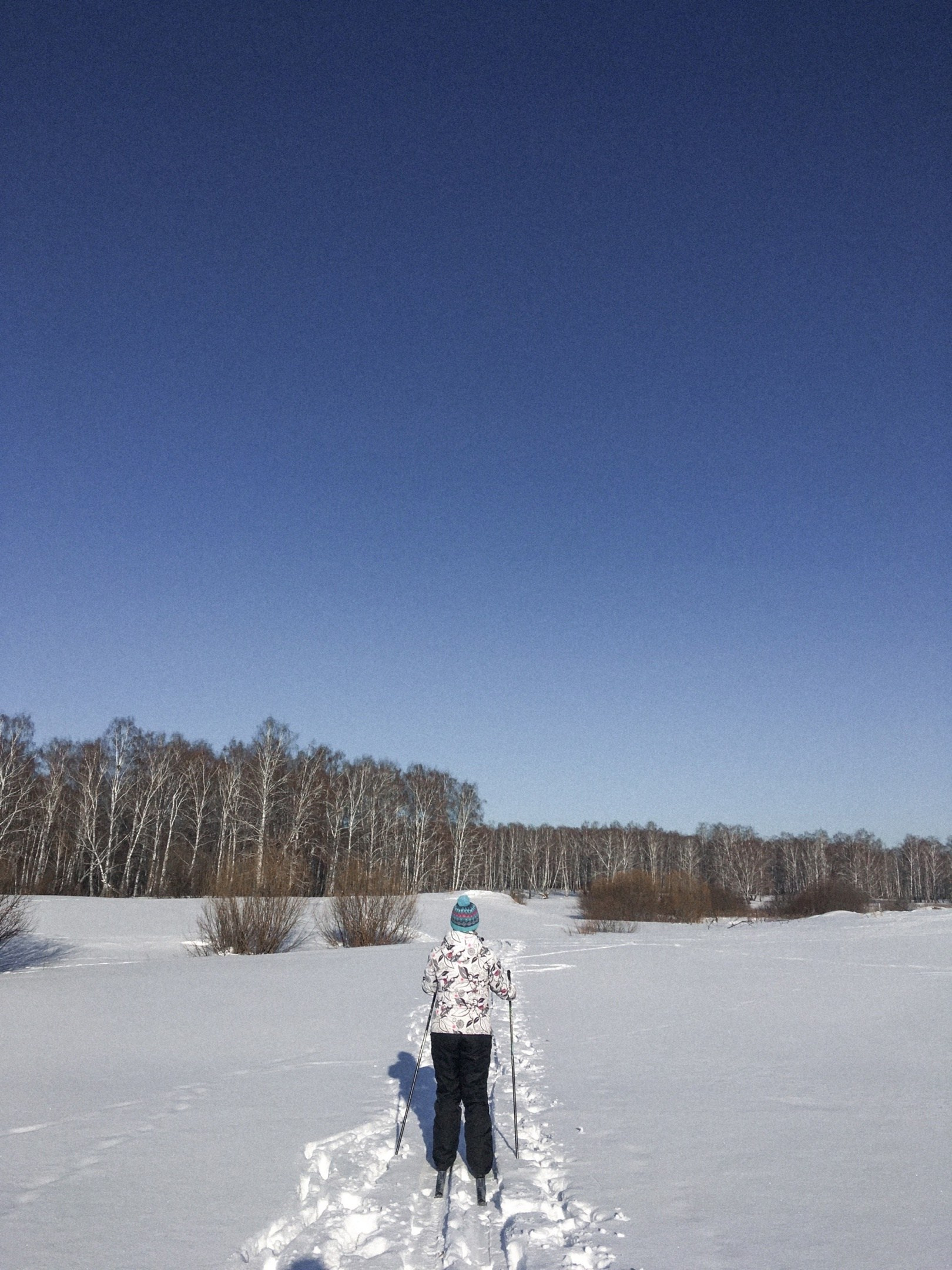 Зимняя прогулка на лыжах в лесу