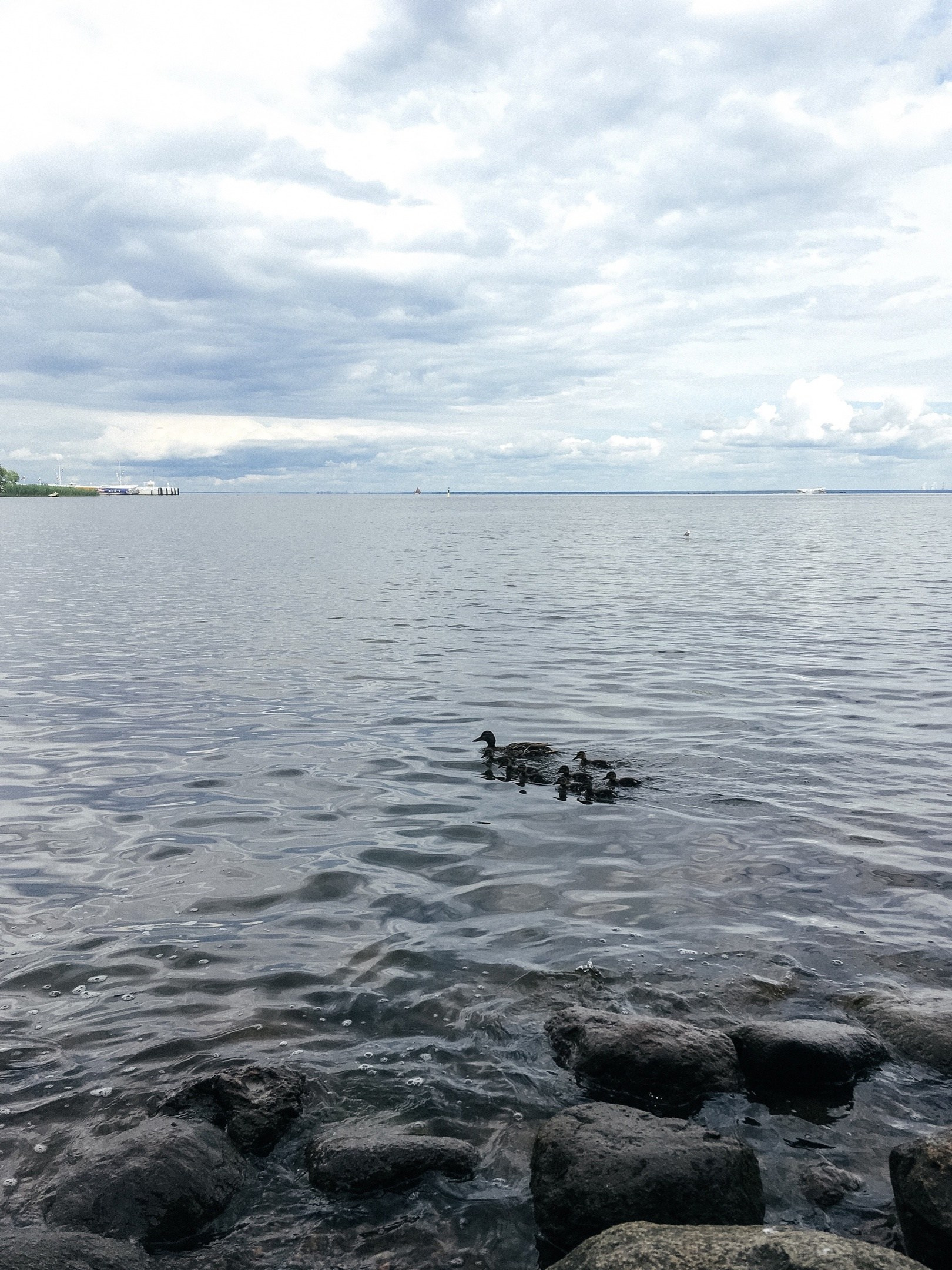 Петергоф. Пуск фонтанов