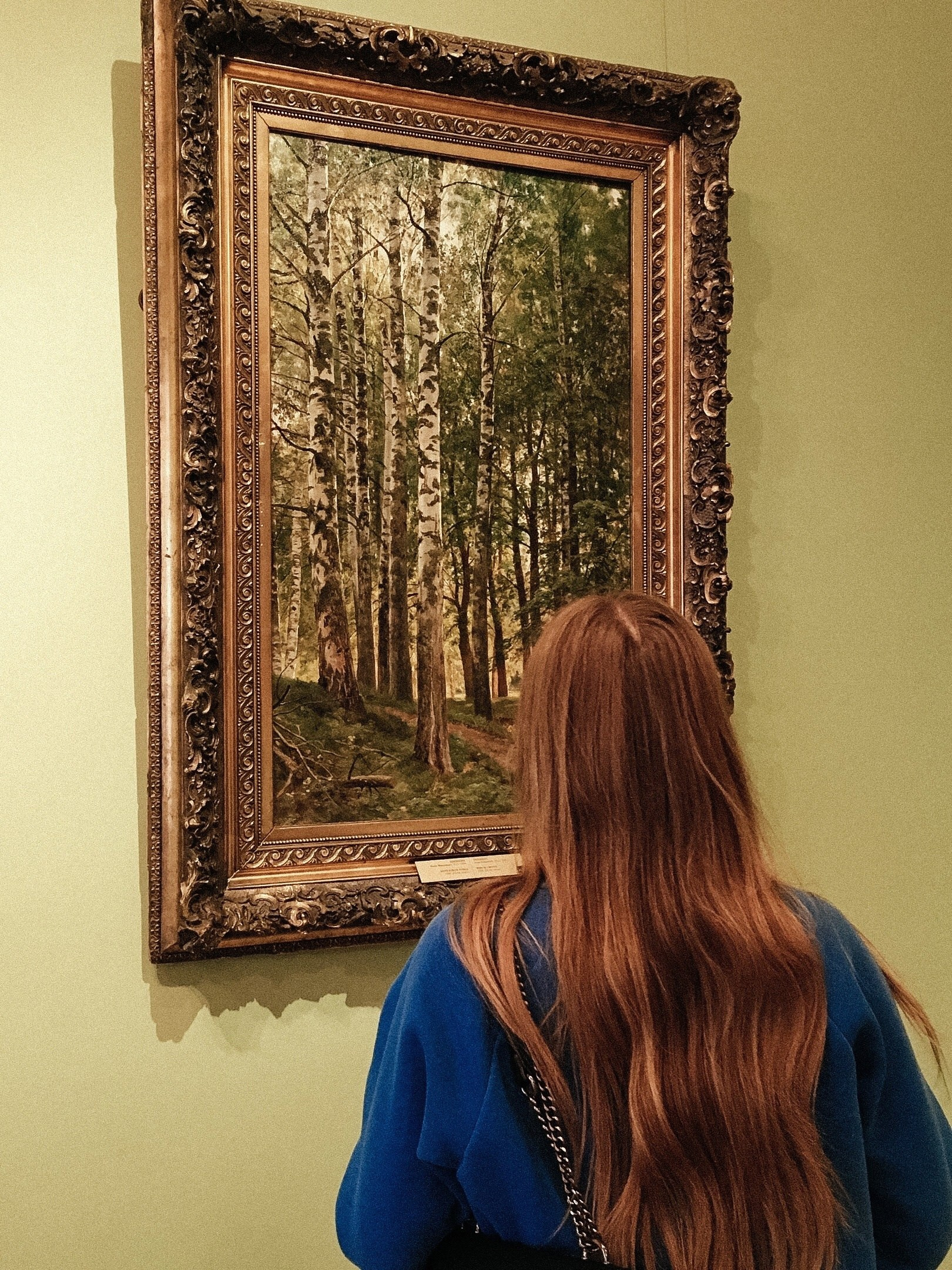 Шикин Иван Иванович — русский художник, живописец