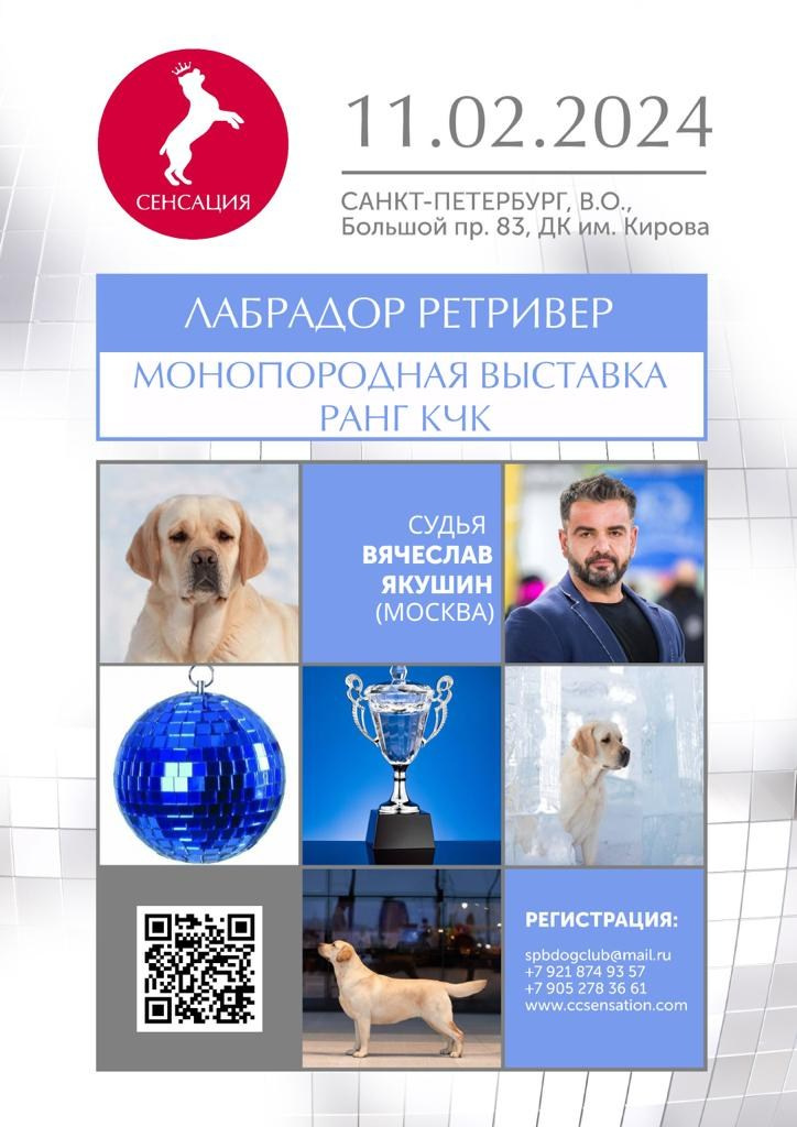 10-11.02.2024 ВЫСТАВКА СОБАК ВСЕХ ПОРОД «СЕНСАЦИЯ-2024». Кинологический клуб РКФ РФСС СЕНСАЦИЯ
